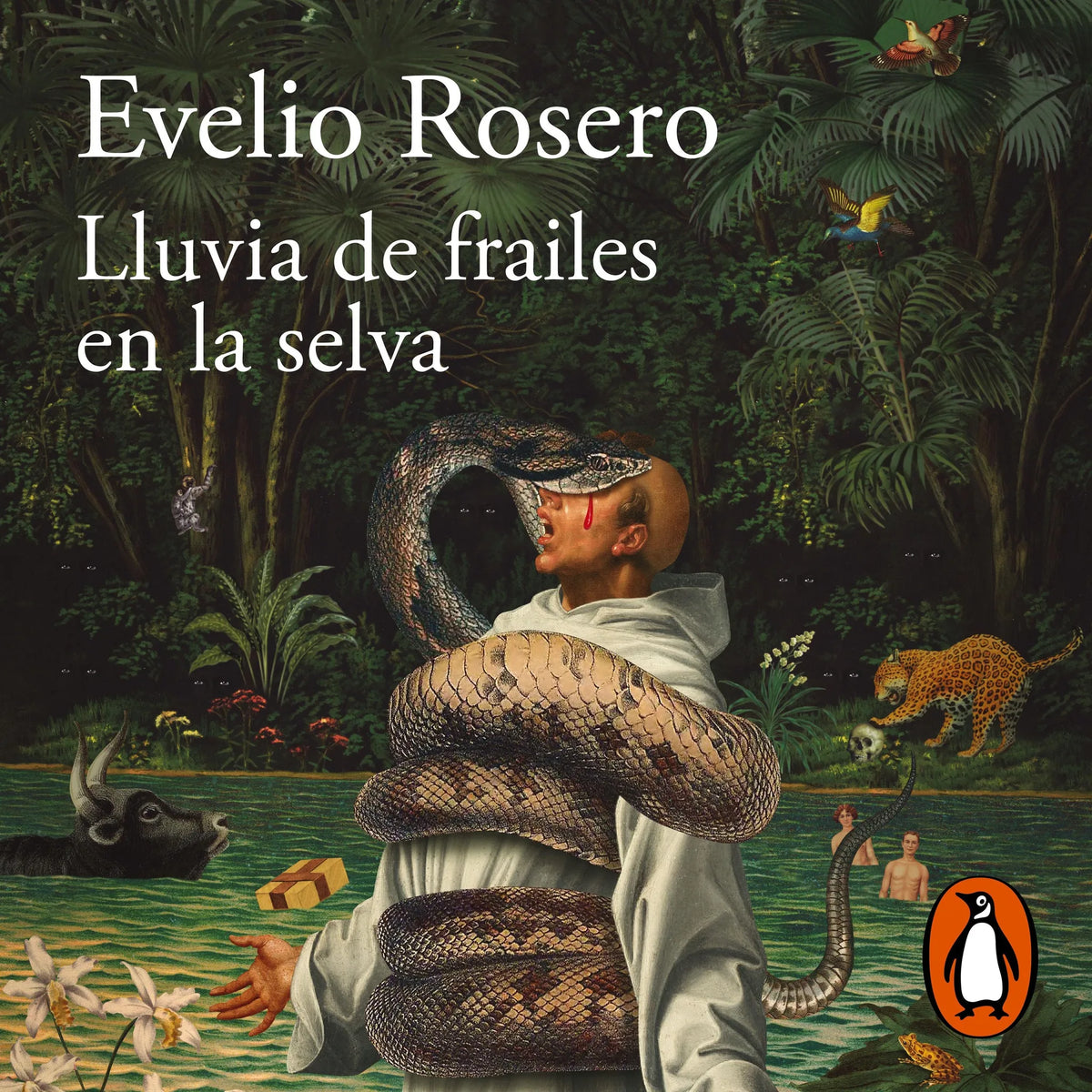 Lluvia de frailes en la selva