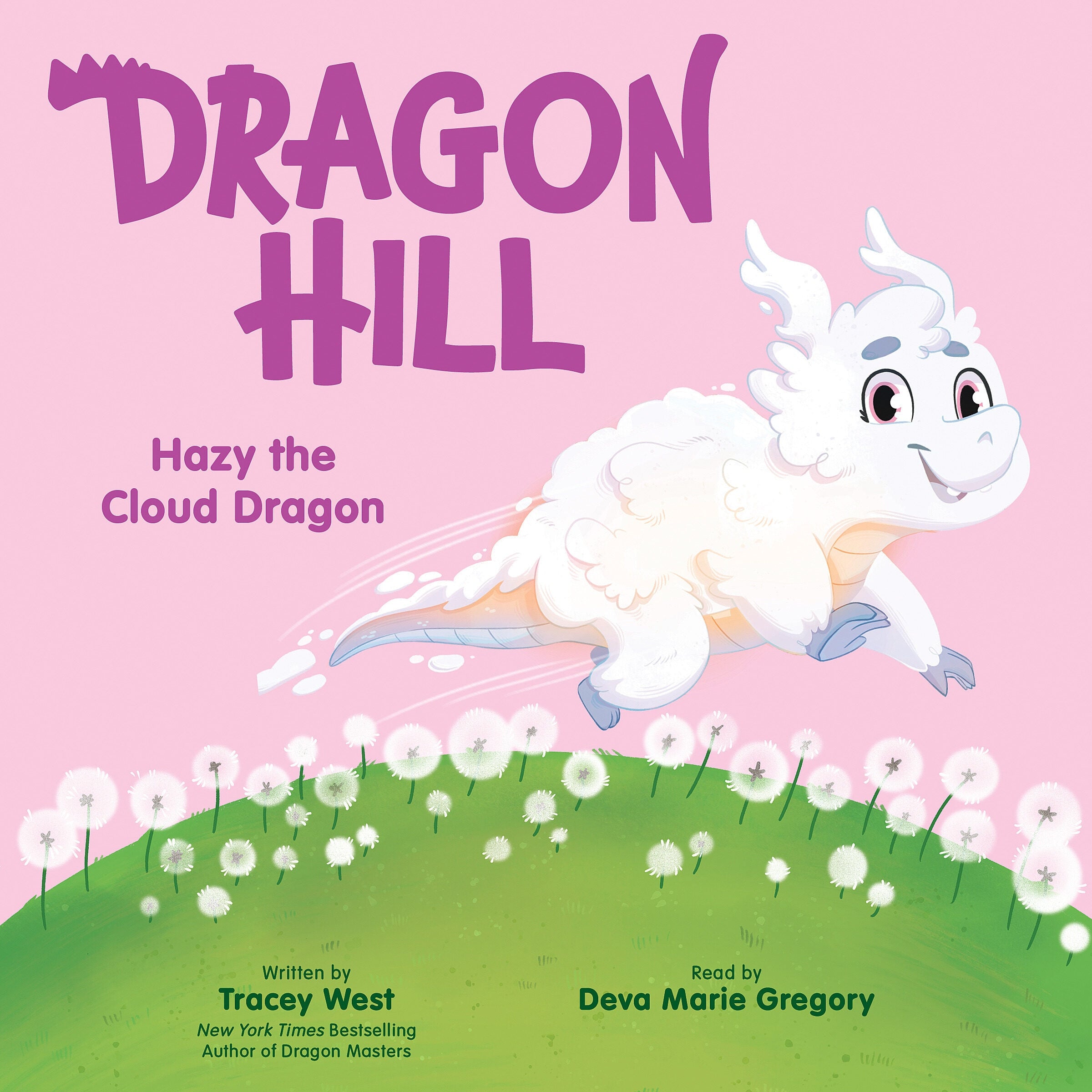 Hazy the Cloud Dragon (Dragon Hill #3)