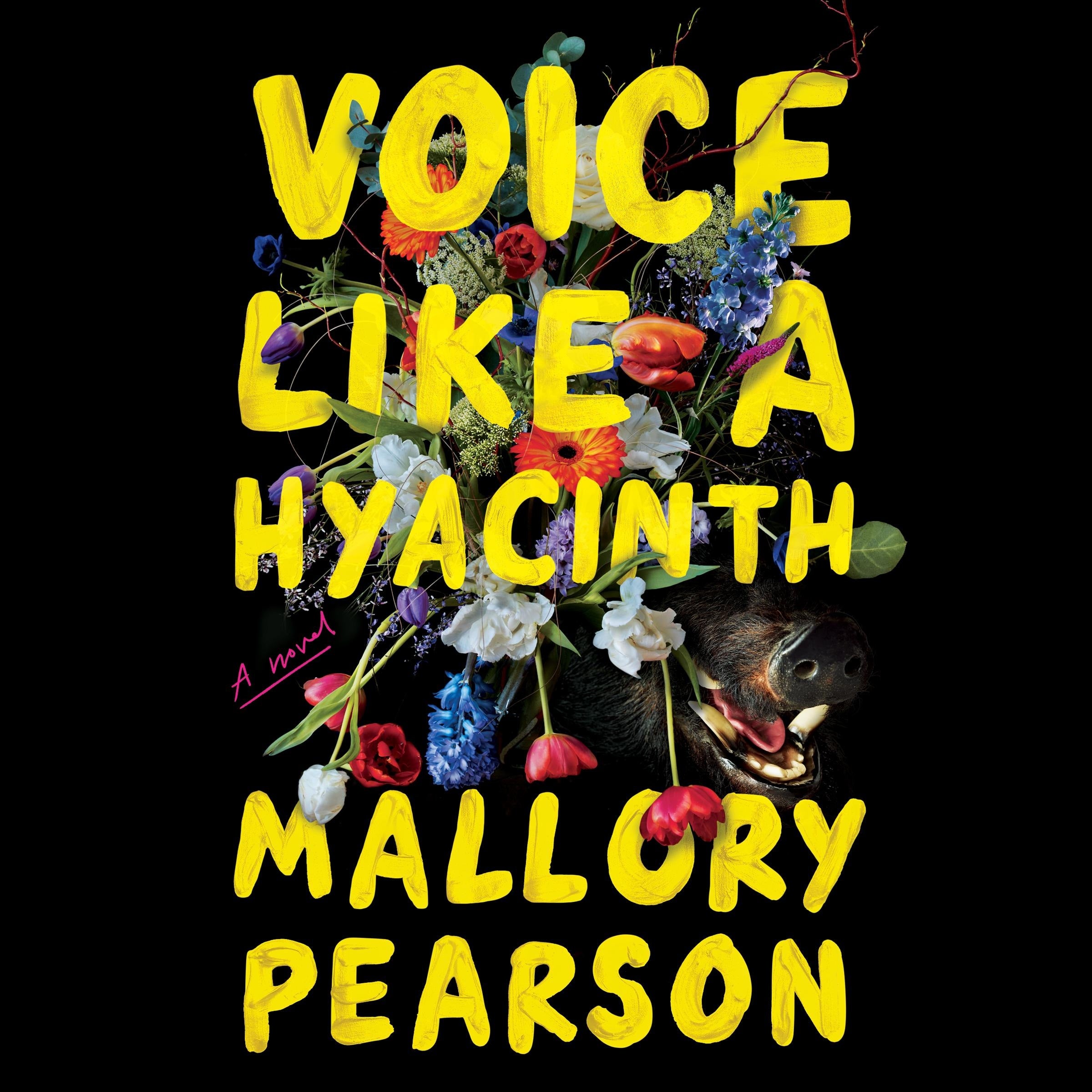 Voice Like a Hyacinth
