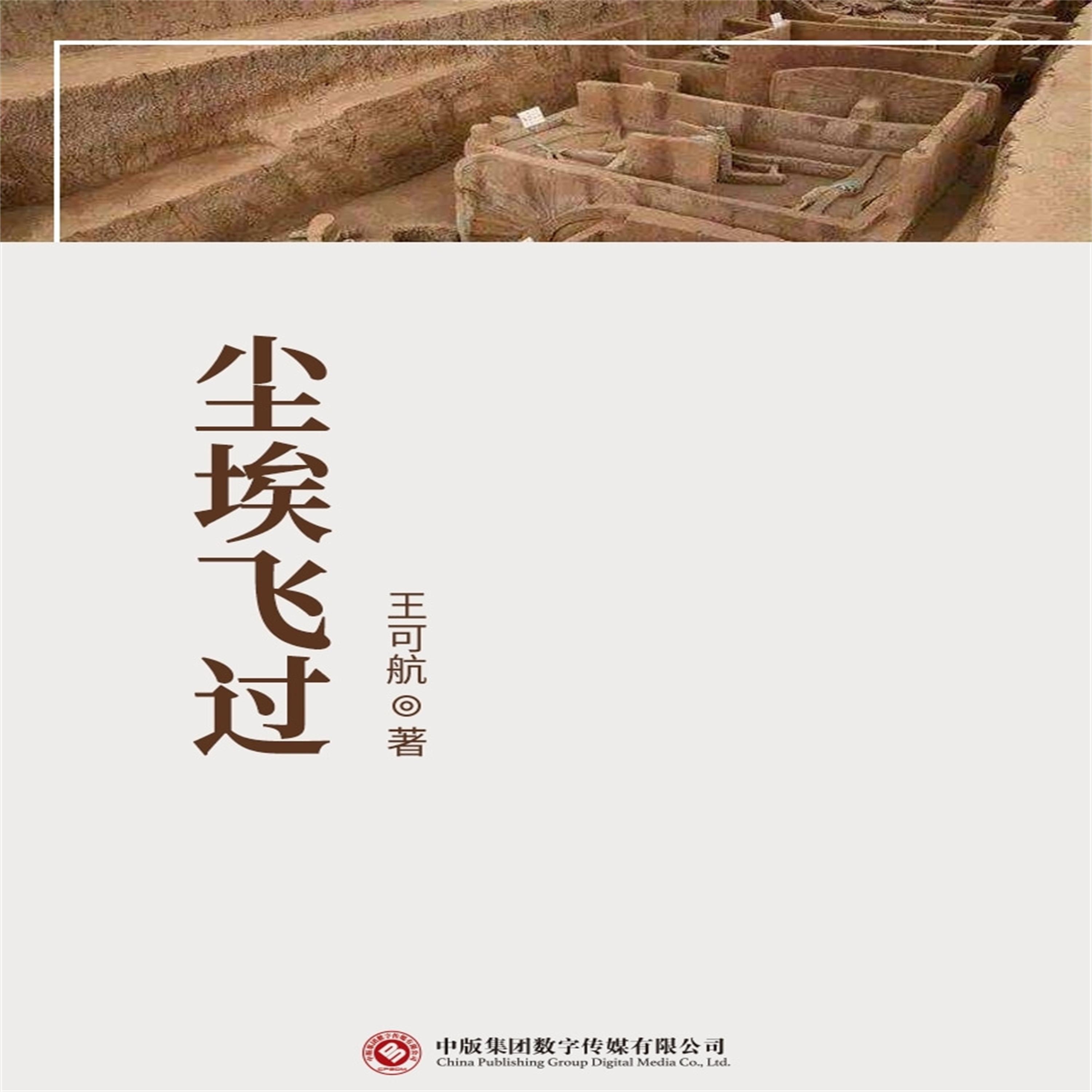 尘埃飞过