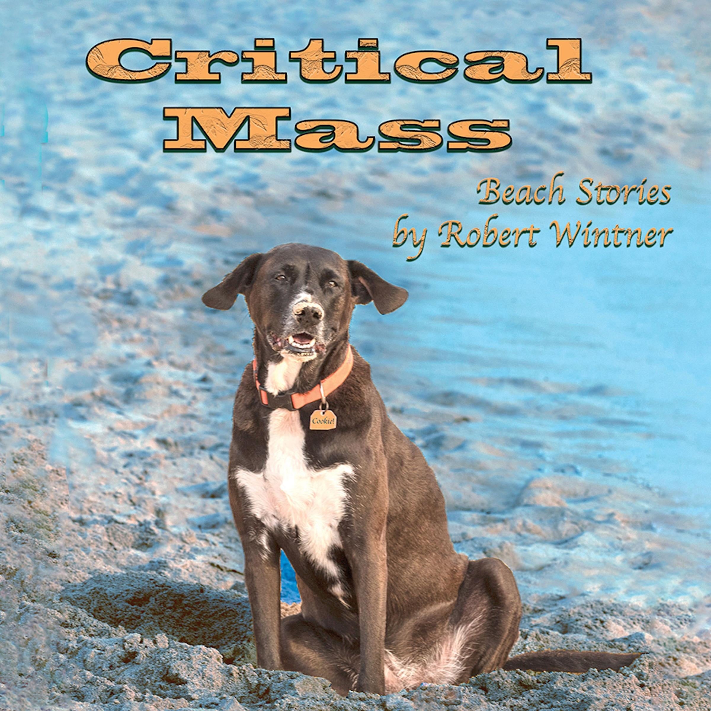 Critical Mass