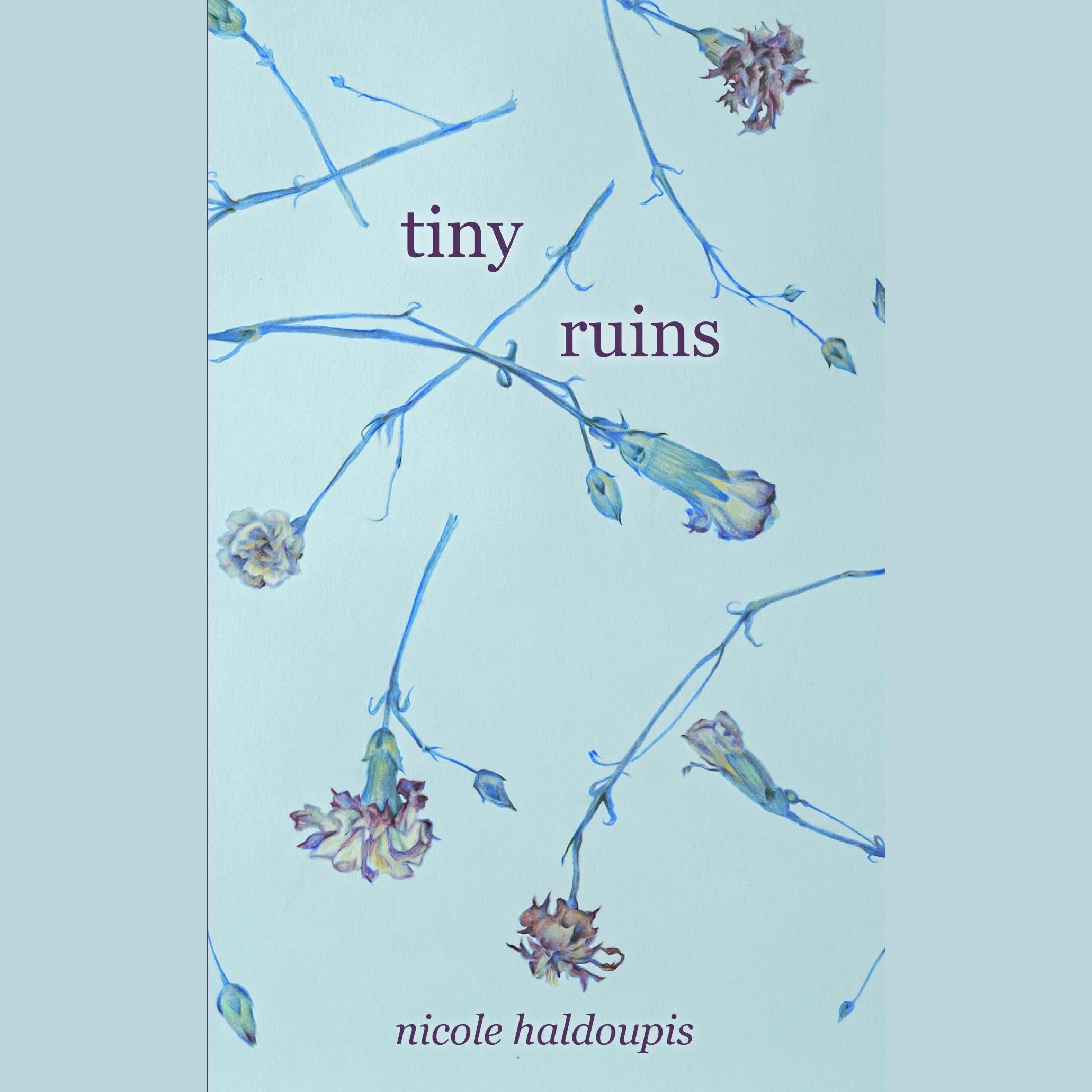 Tiny Ruins