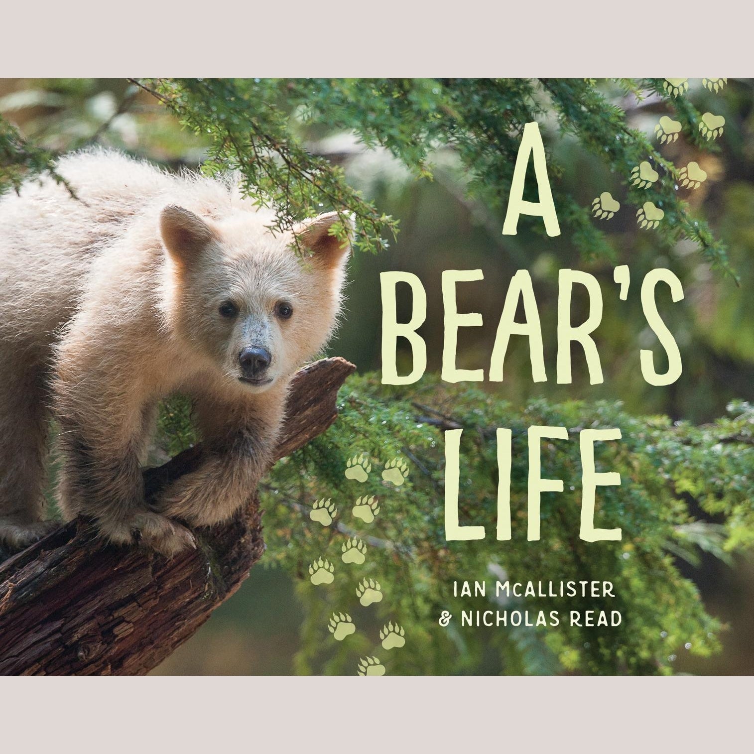 A Bear's Life