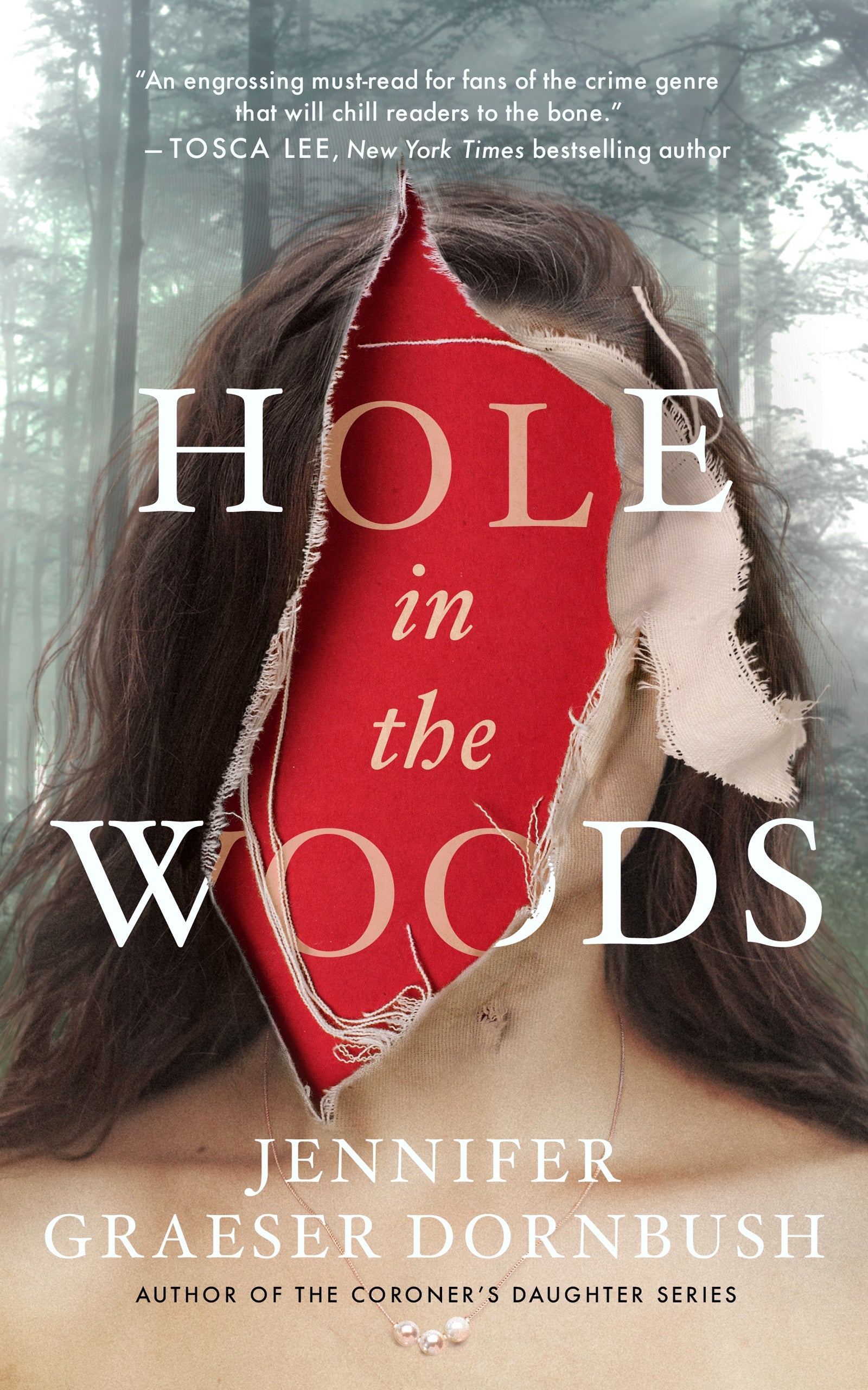 Hole in the Woods