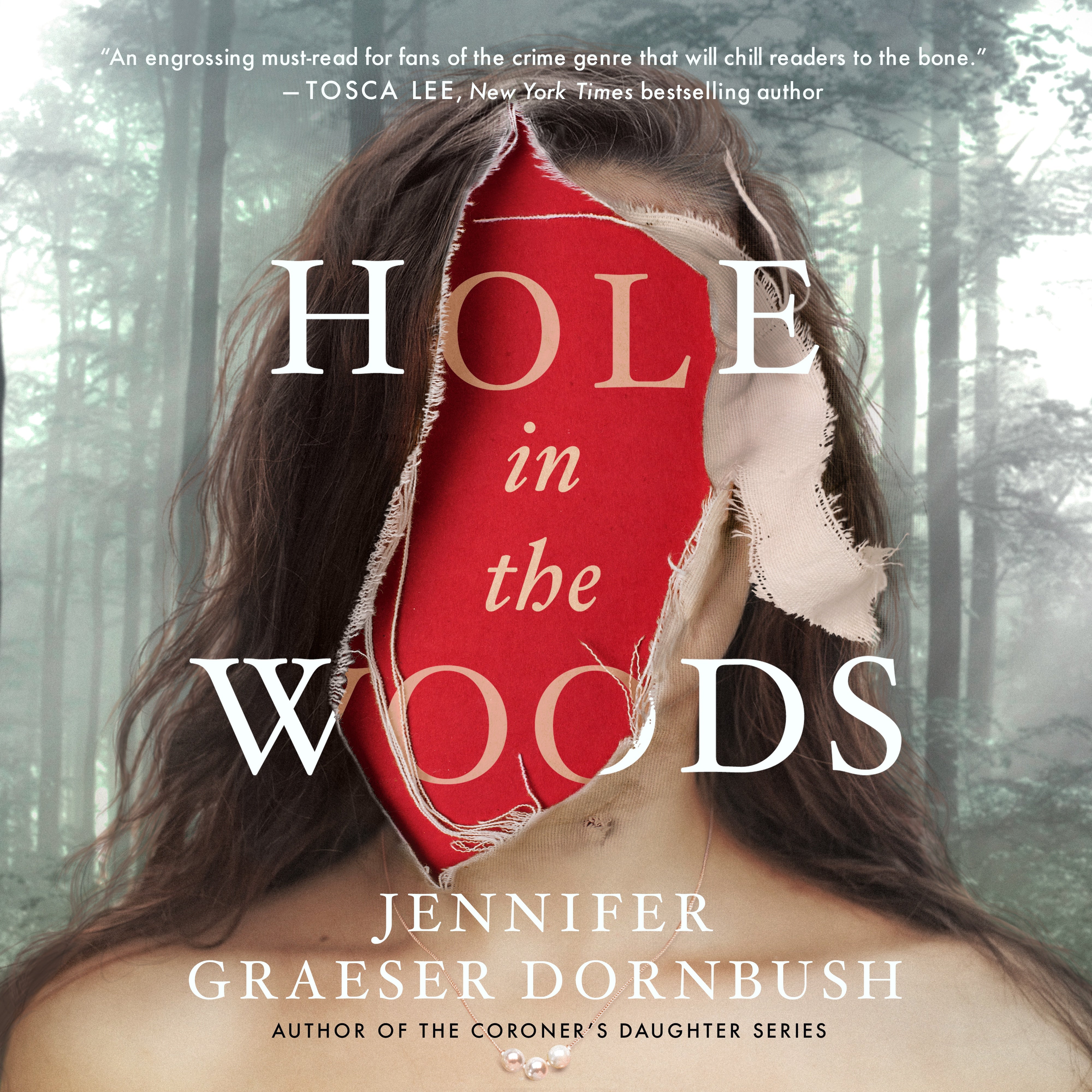 Hole in the Woods