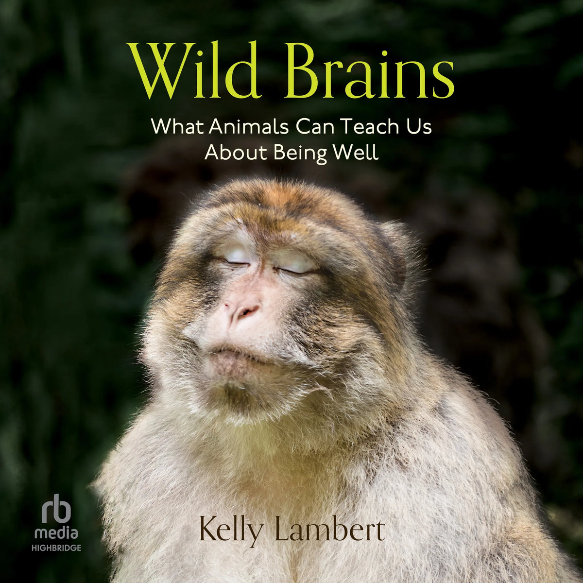 Wild Brains