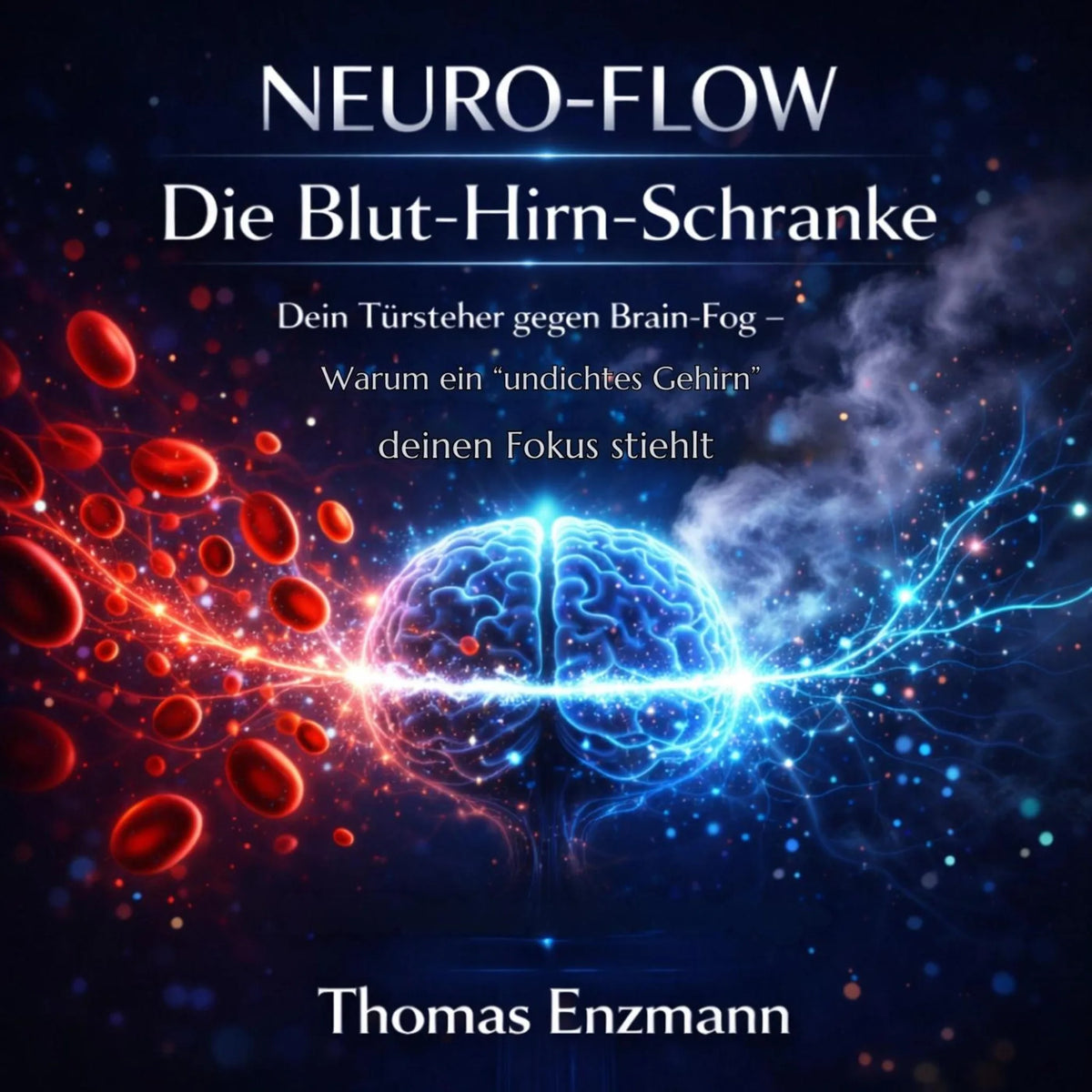 Neuro-Flow: Die Blut-Hirn-Schranke