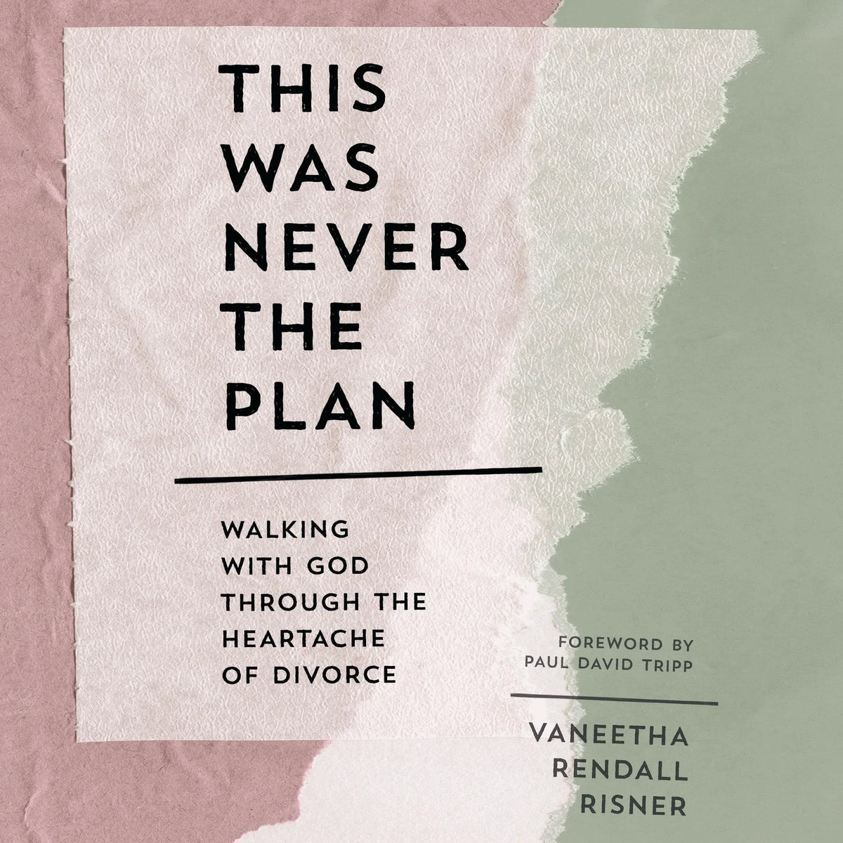 This Was Never the Plan
