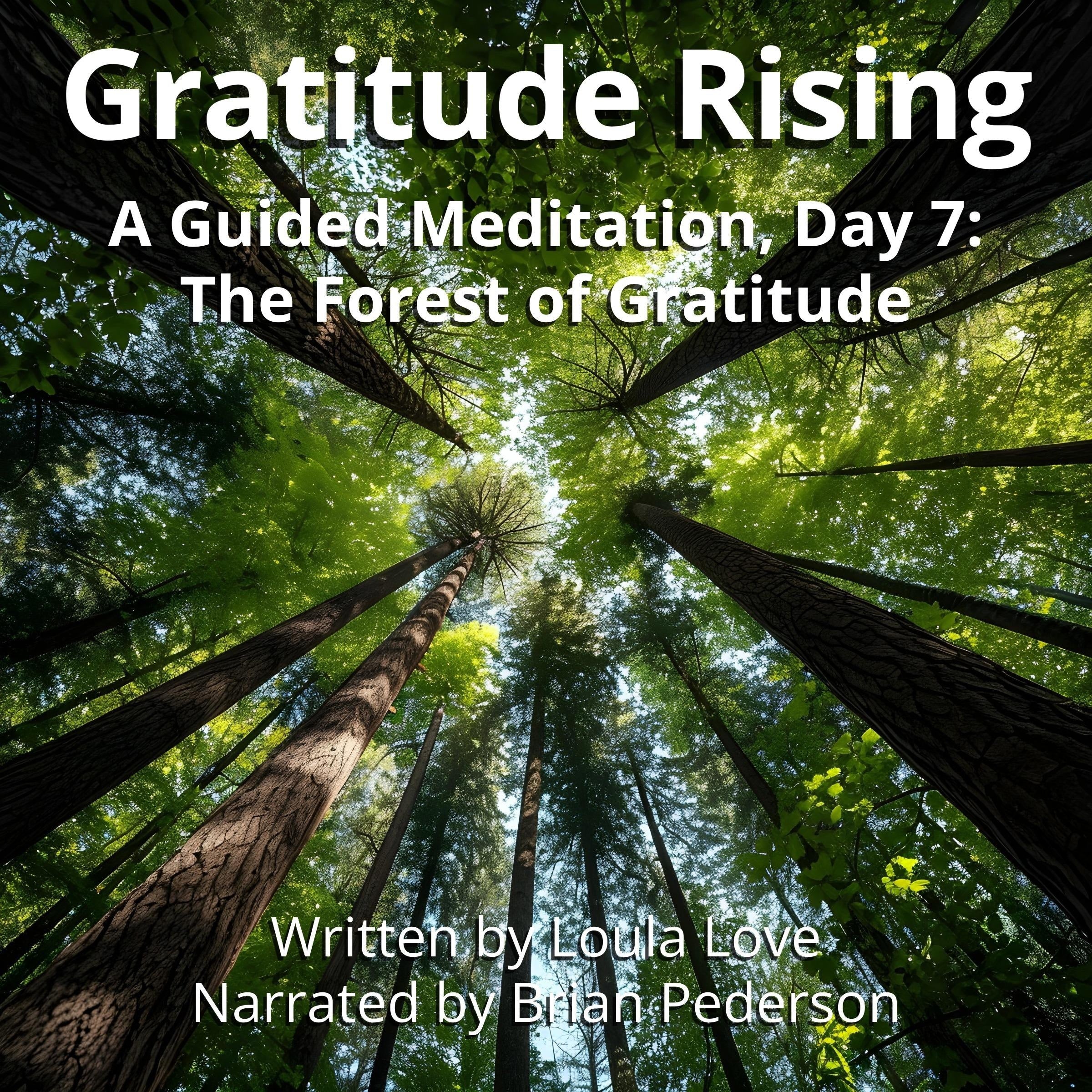 Gratitude Rising, Day 7: A Guided Meditation