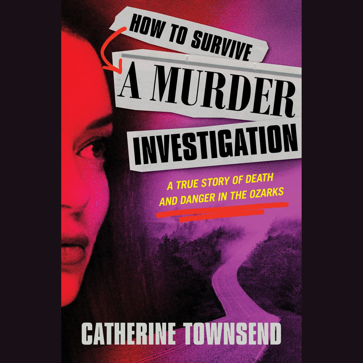 How to Survive a Murder Investigation