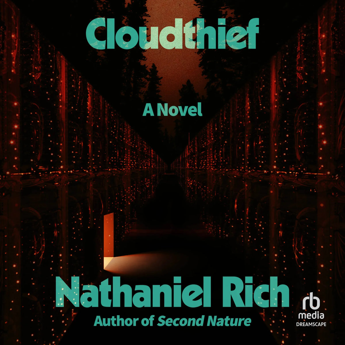 Cloudthief