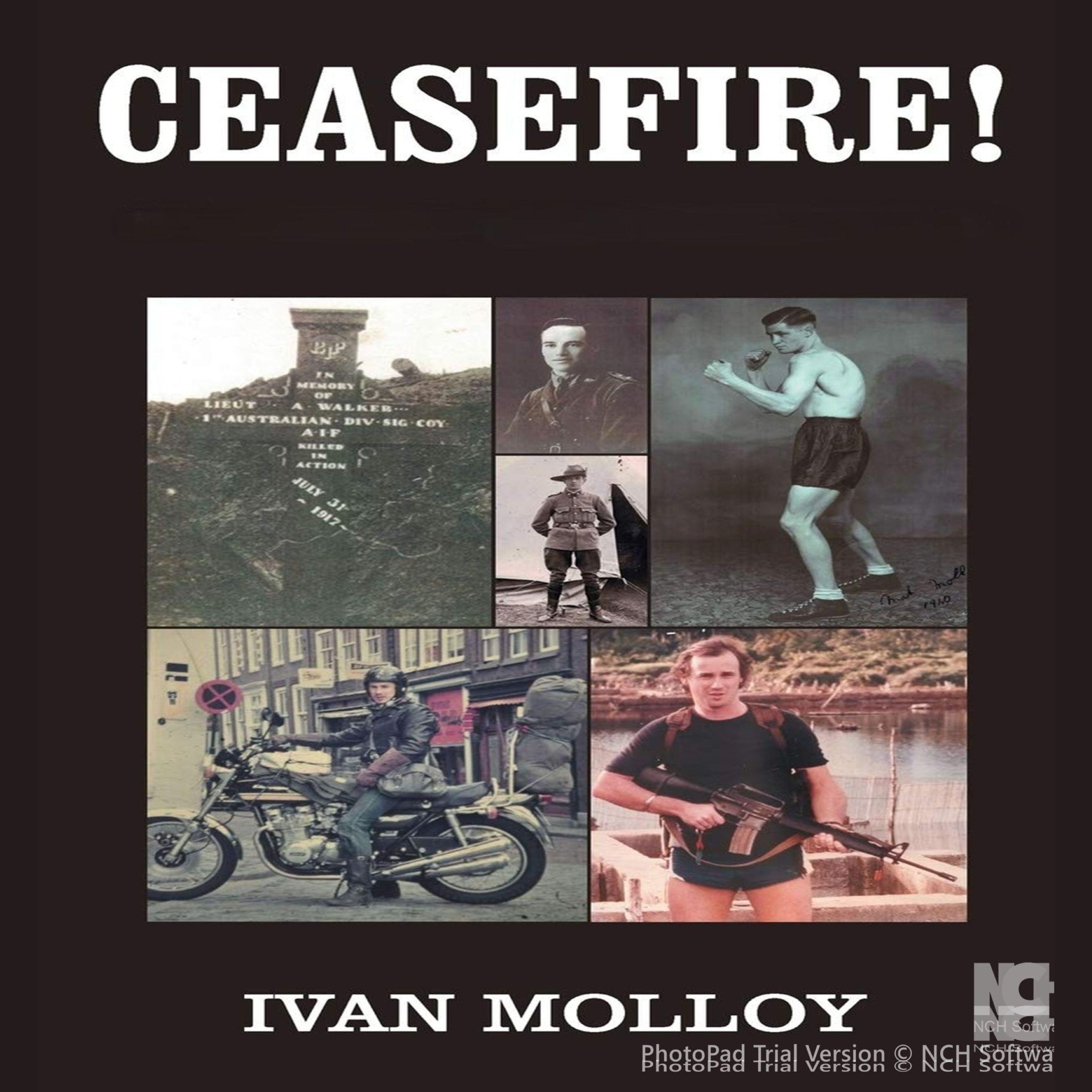 CEASEFIRE!