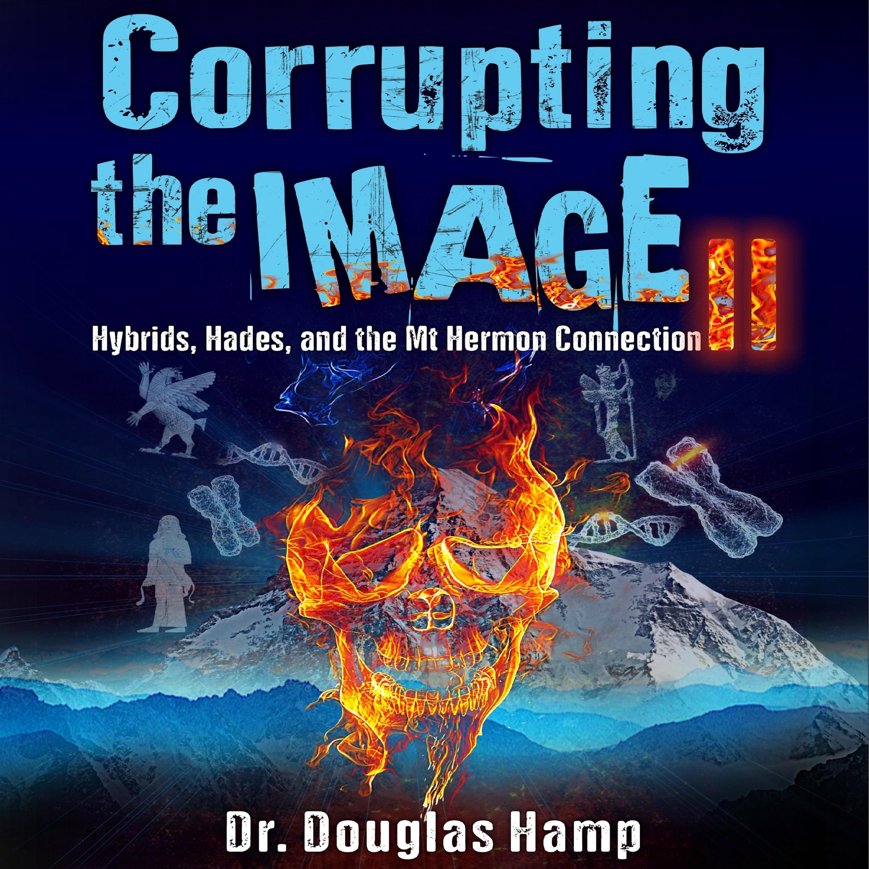 Corrupting the Image II
