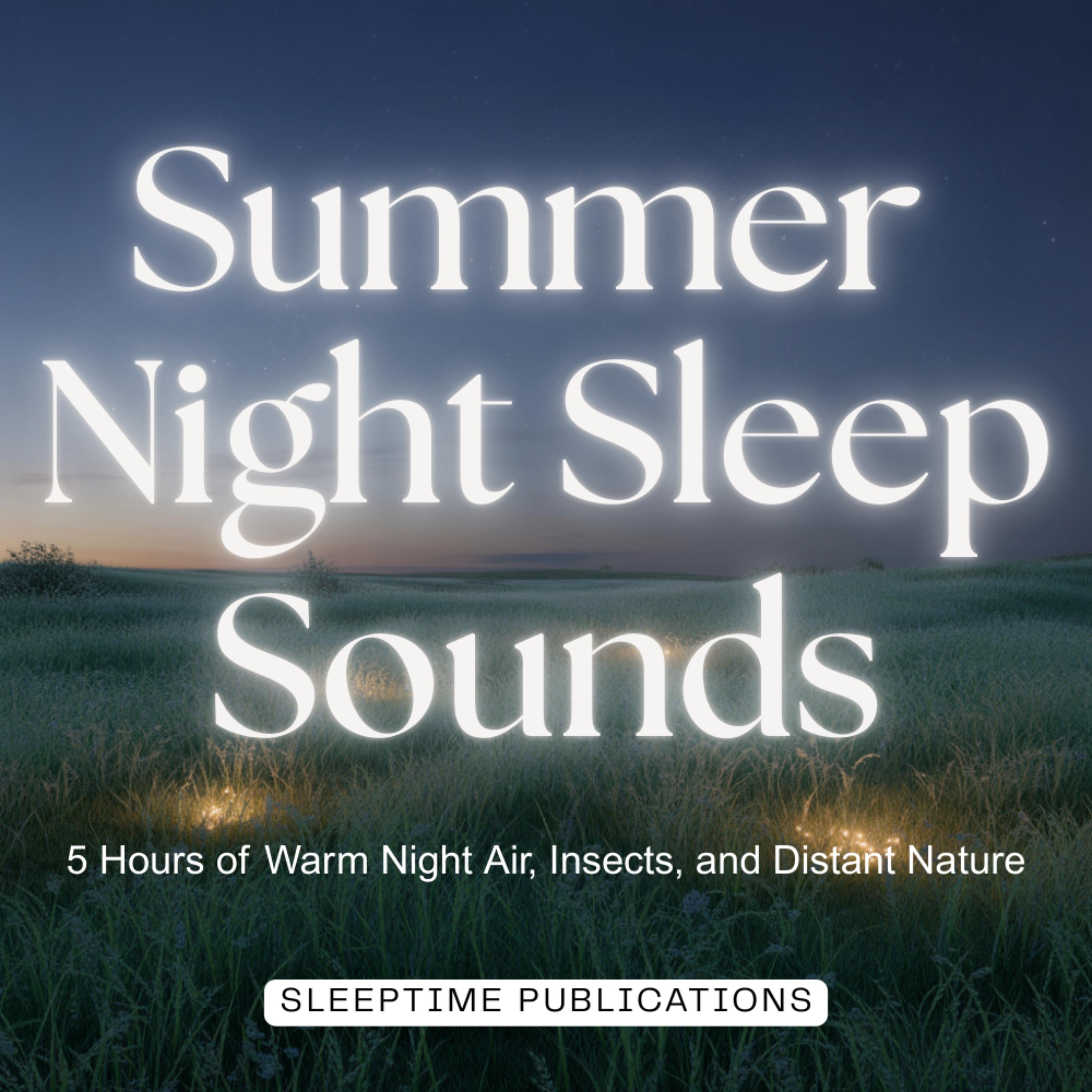 Summer Night Sleep Sounds