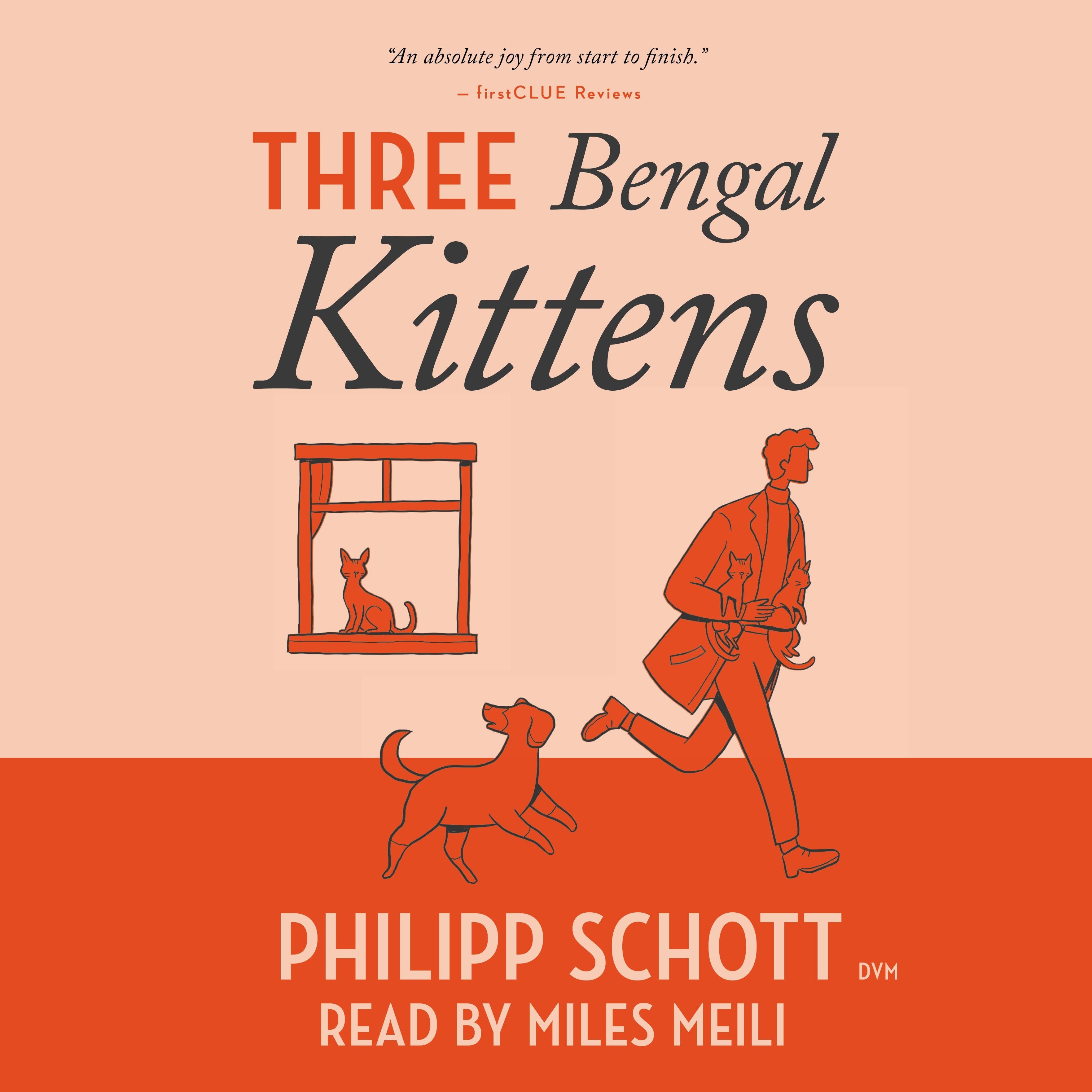 Three Bengal Kittens