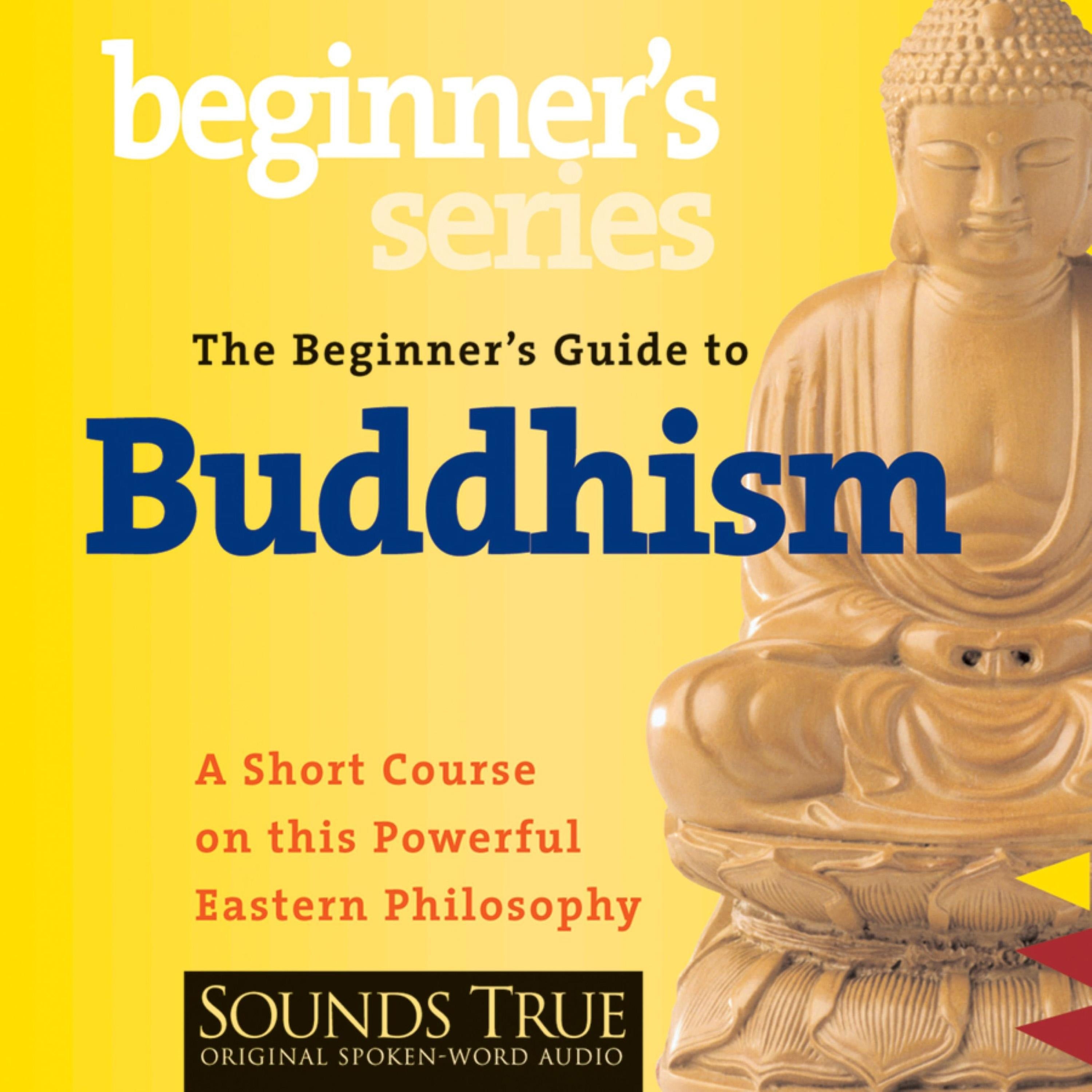The Beginner's Guide to Buddhism