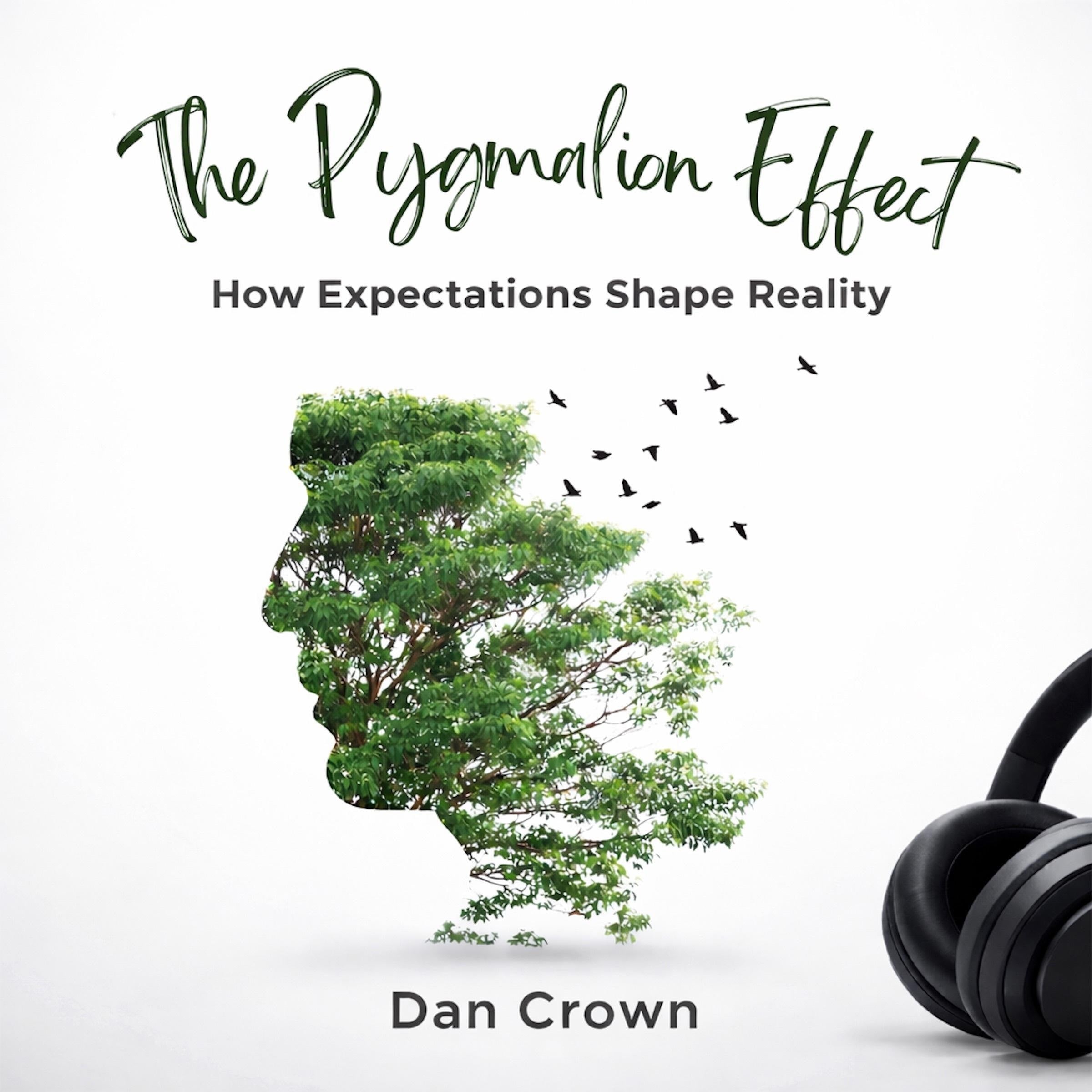 The Pygmalion Effect