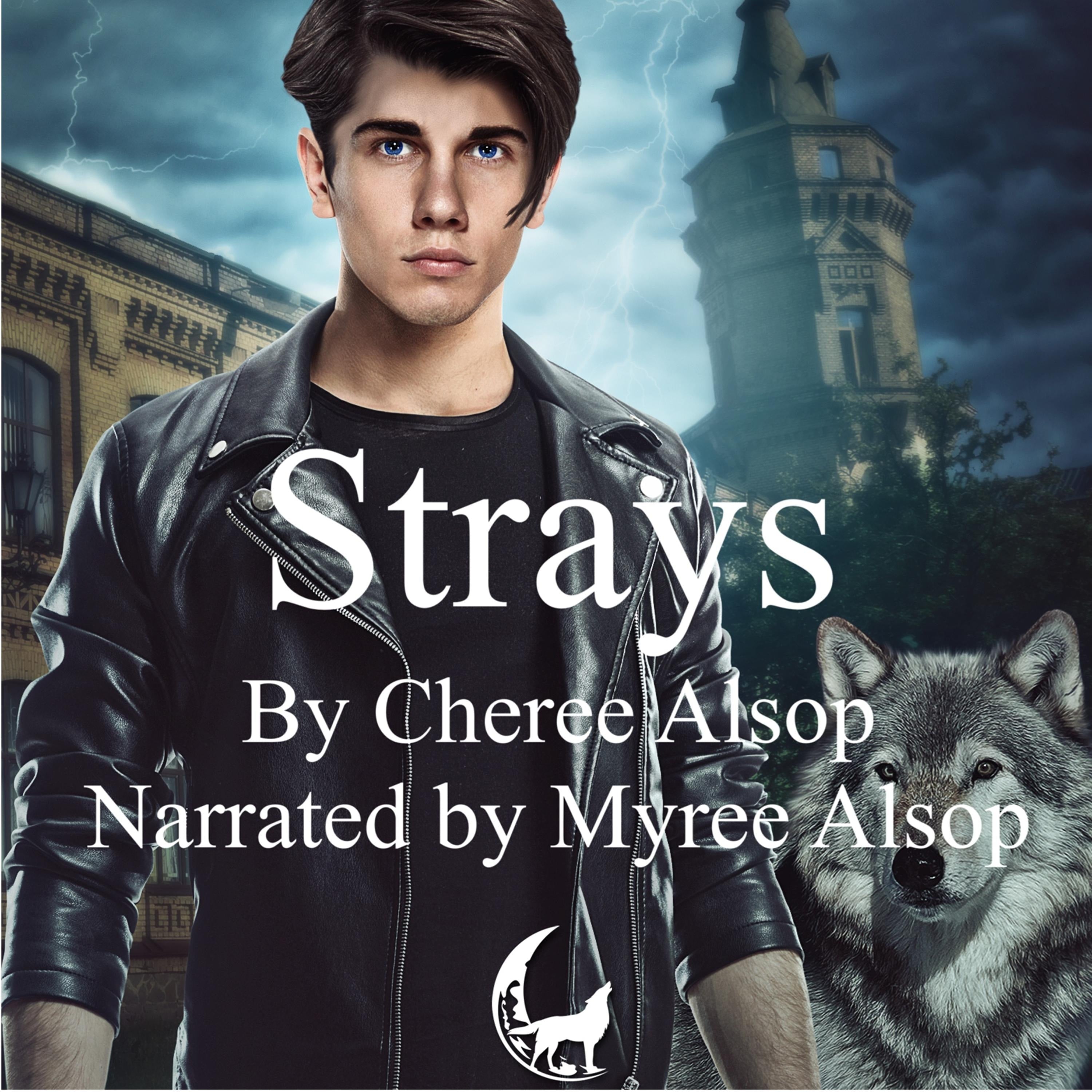 The Werewolf Academy Book 1: Strays