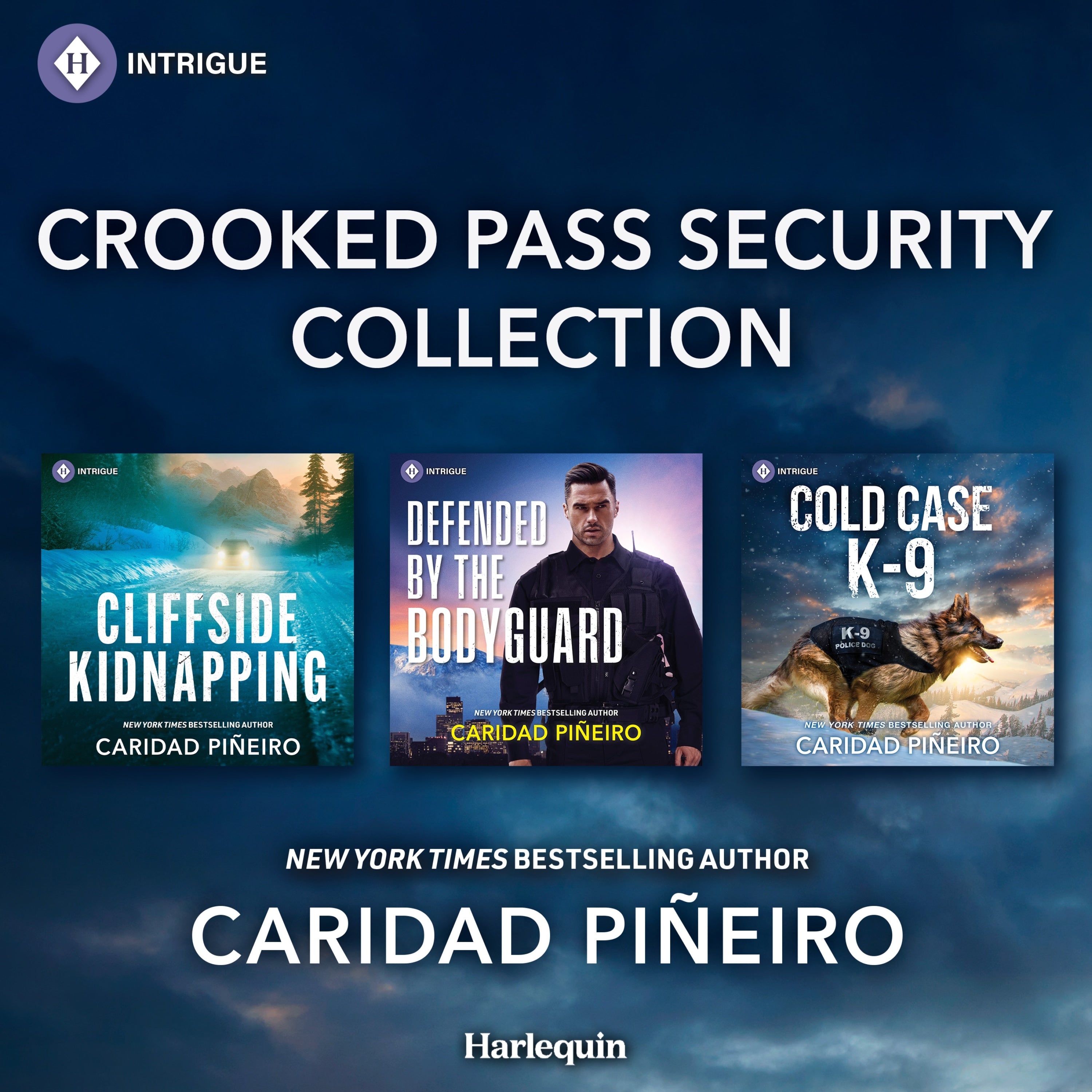 Harlequin Intrigue Crooked Pass Security Collection Vol 1