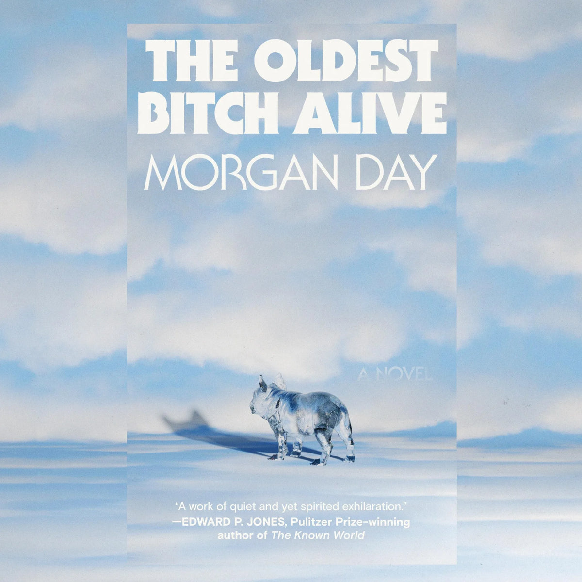 The Oldest Bitch Alive