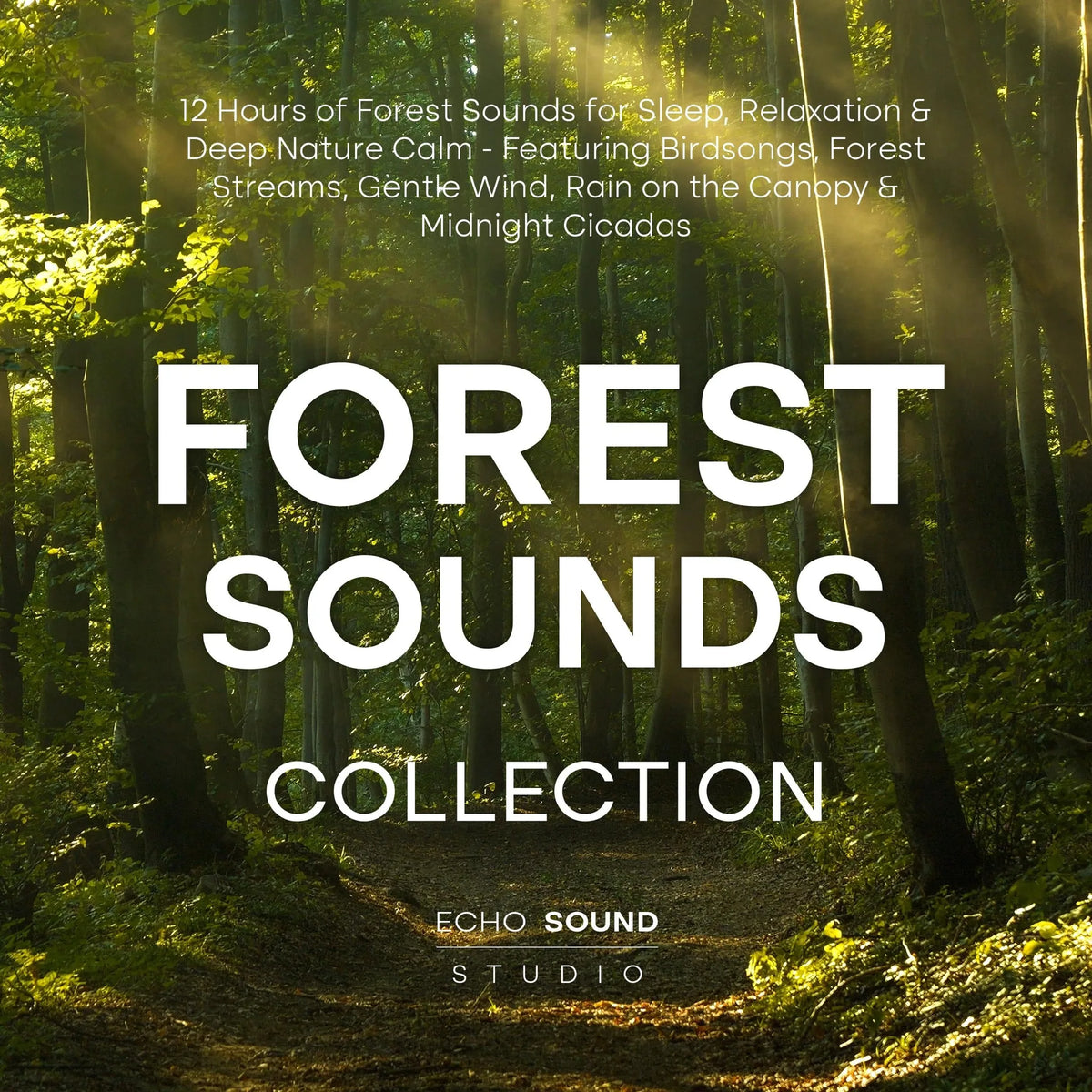 Forest Sounds Collection: 12 Hours of Forest Sounds for Sleep, Relaxation & Deep Nature Calm - Featuring Birdsongs, Forest Streams, Gentle Wind, Rain on the Canopy & Midnight Cicadas