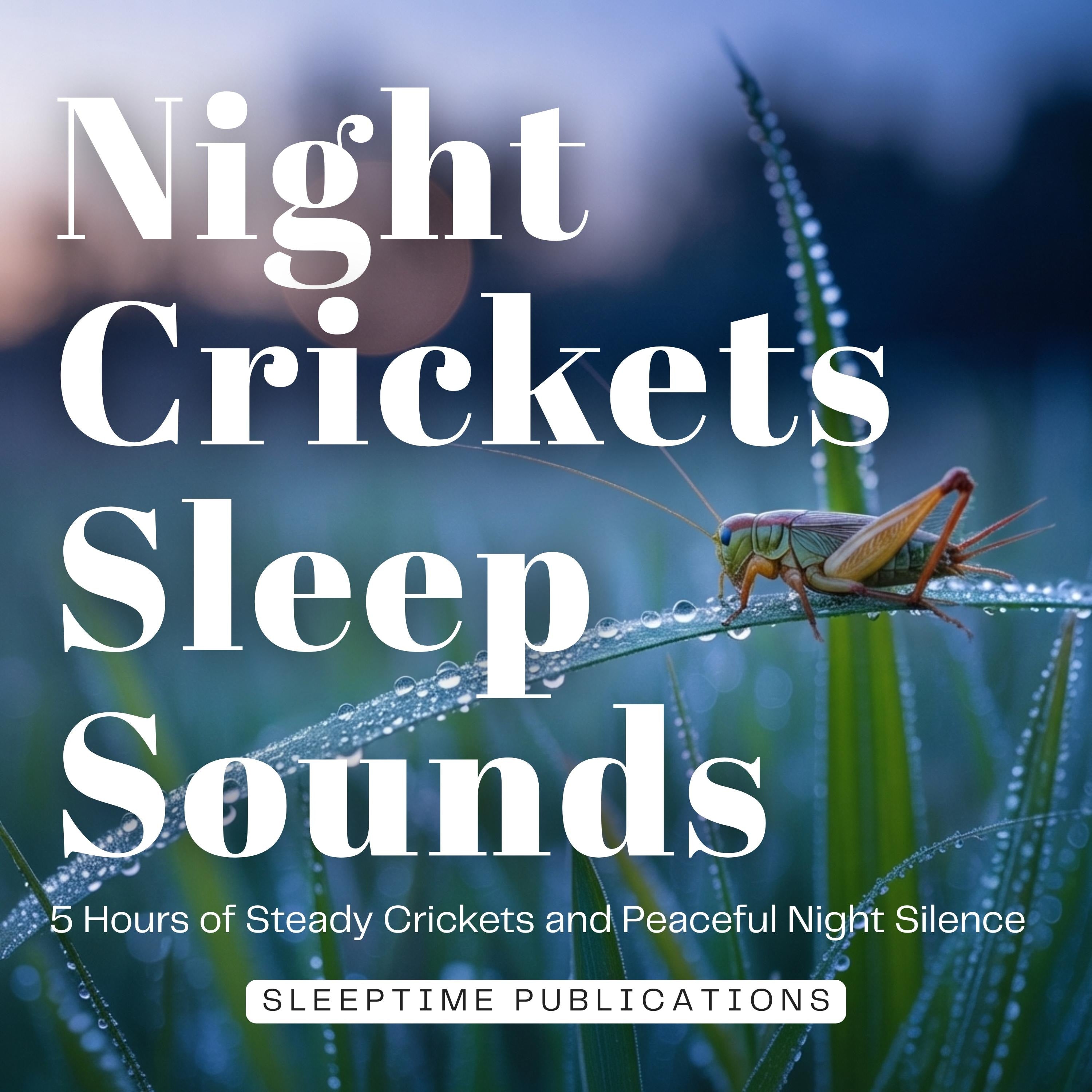 Night Crickets Sleep Sounds