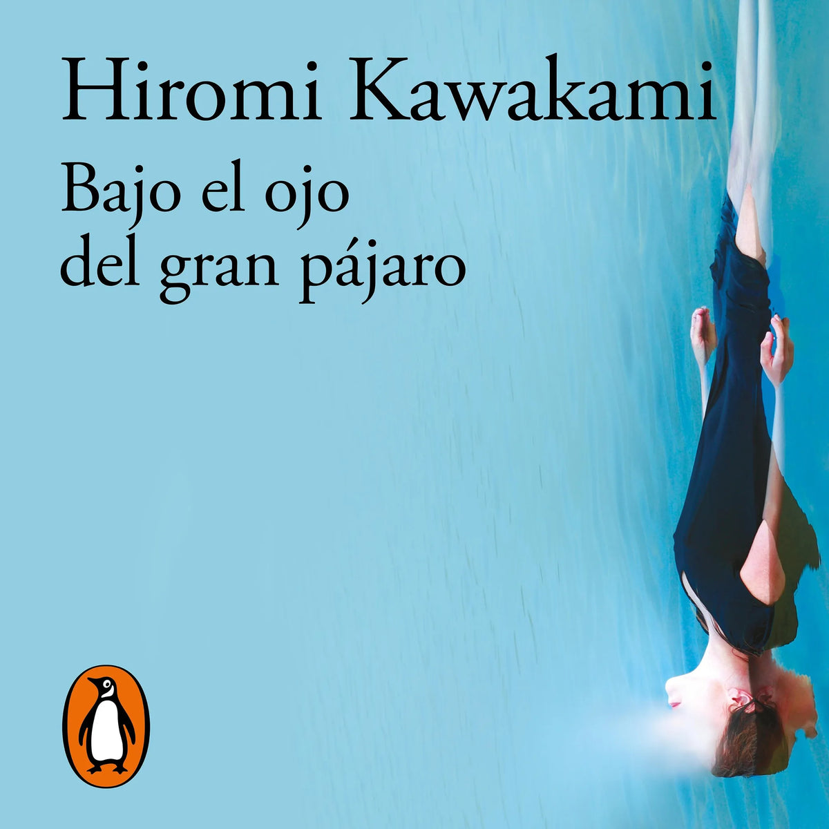 Bajo el ojo del gran pájaro