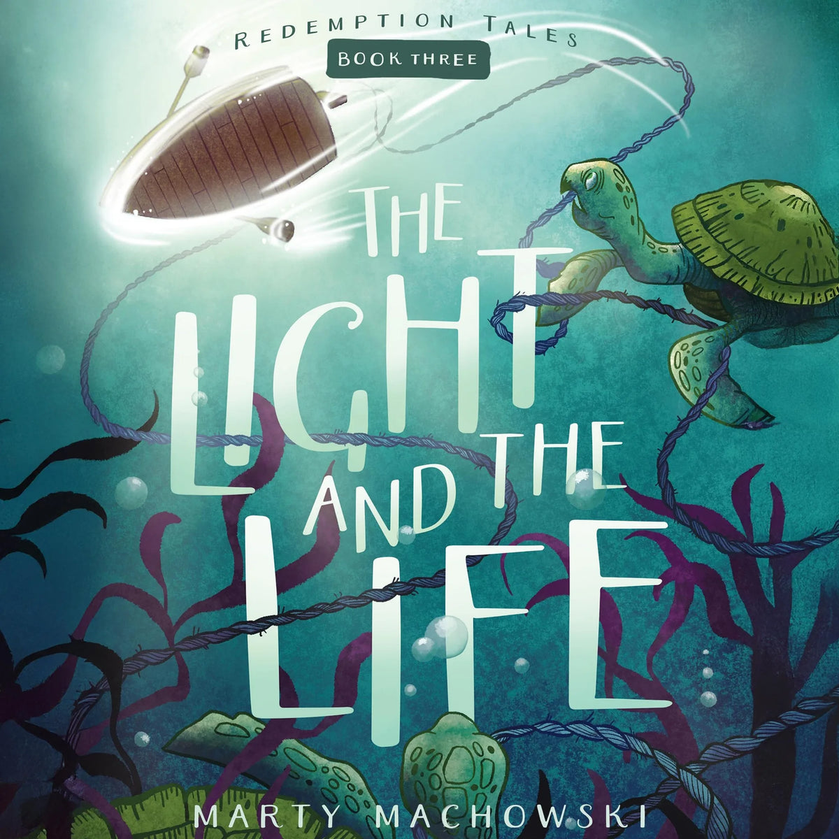 The Light and the Life