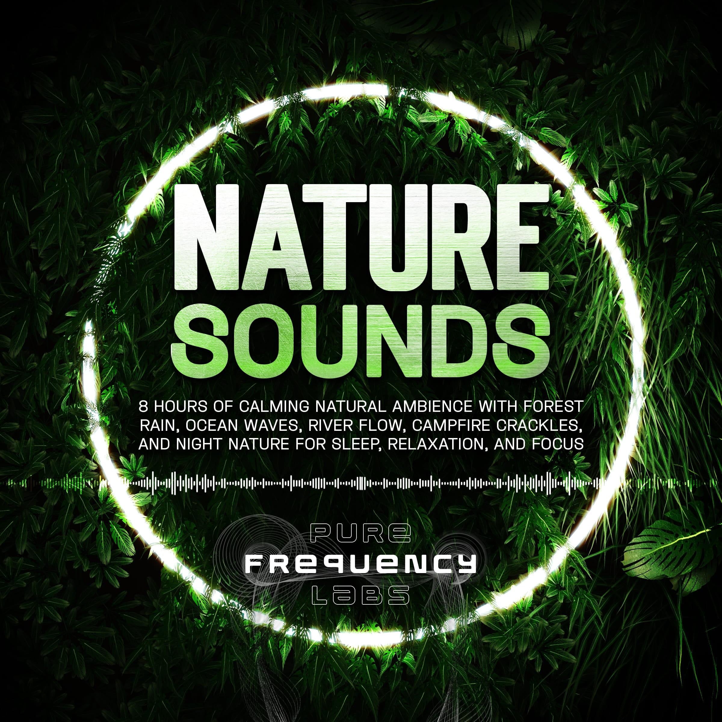 Nature Sounds: 8 Hours of Calming Natural Ambience with Forest Rain, Ocean Waves, River Flow, Campfire Crackles, and Night Nature for Sleep, Relaxation, and Focus