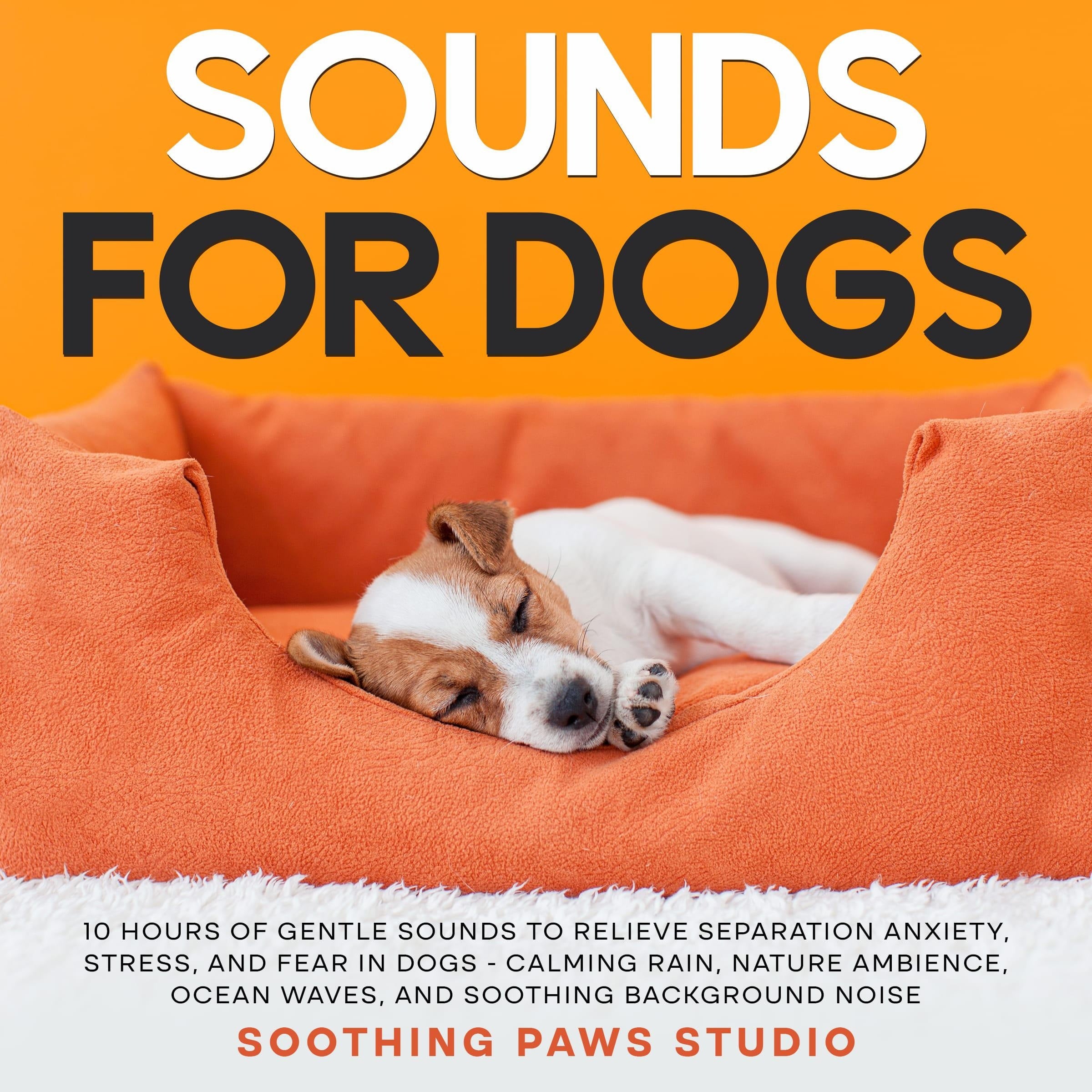 Sounds for Dogs: 10 Hours of Gentle Sounds to Relieve Separation Anxiety, Stress, and Fear in Dogs - Calming Rain, Nature Ambience, Ocean Waves, and Soothing Background Noise