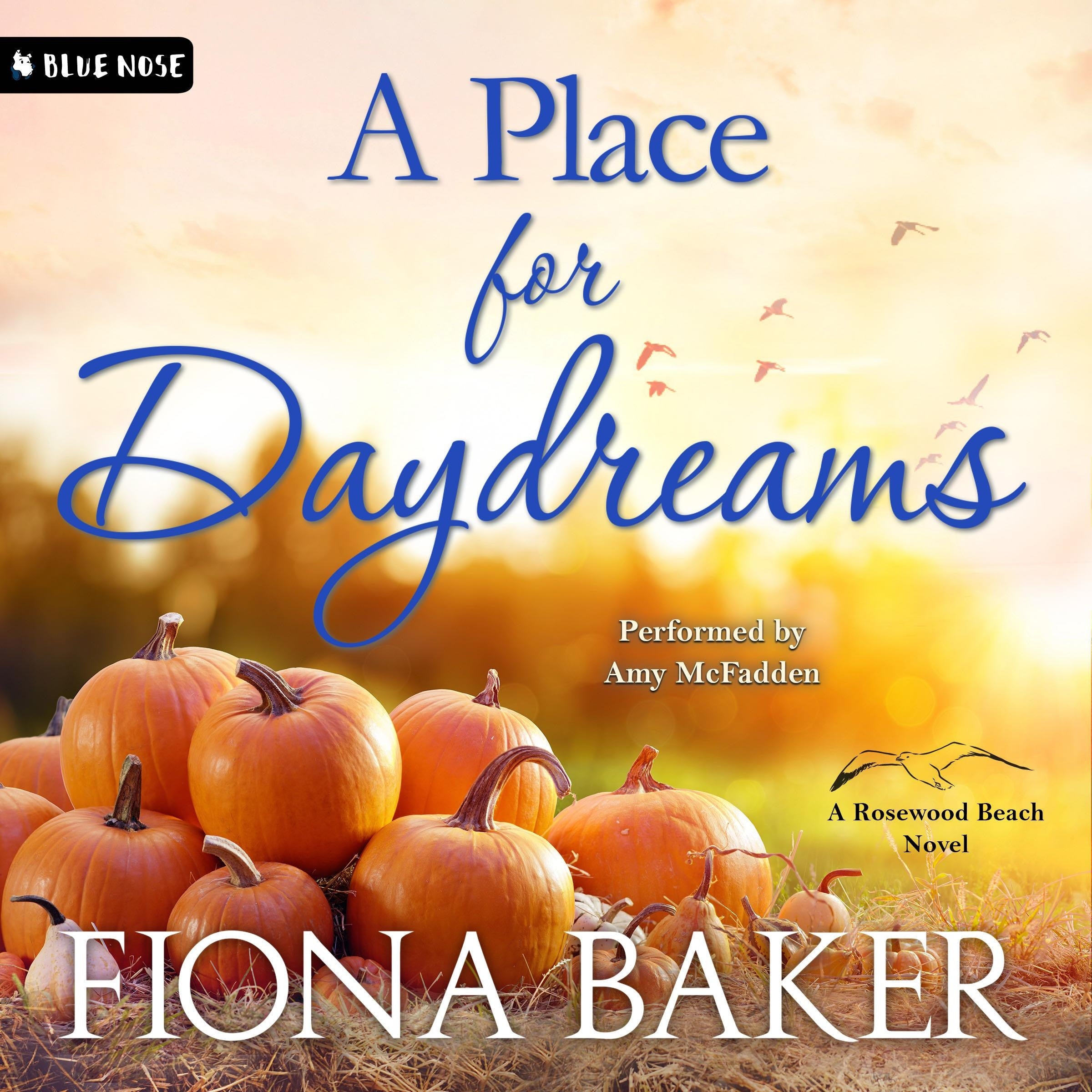 A Place for Daydreams
