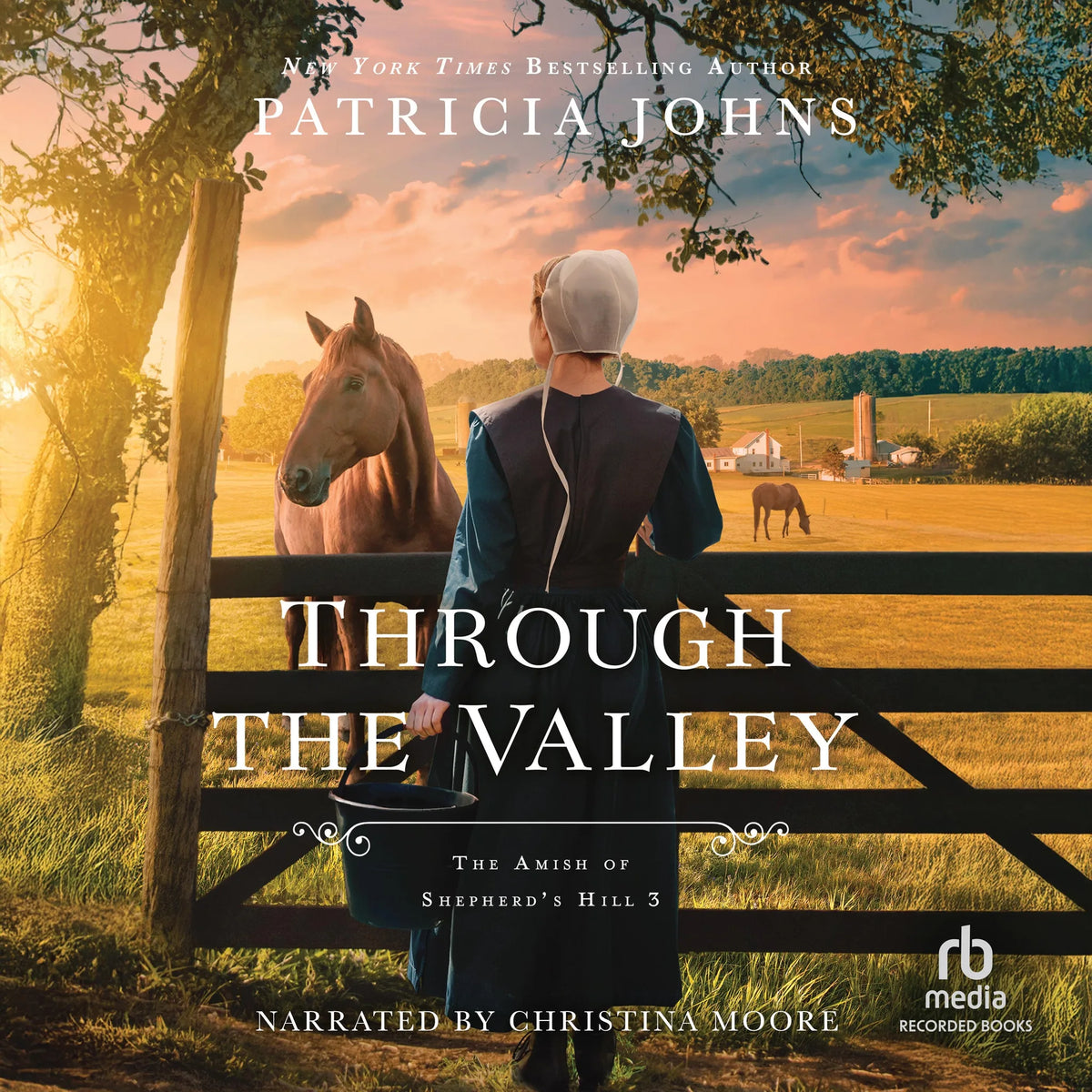Through the Valley