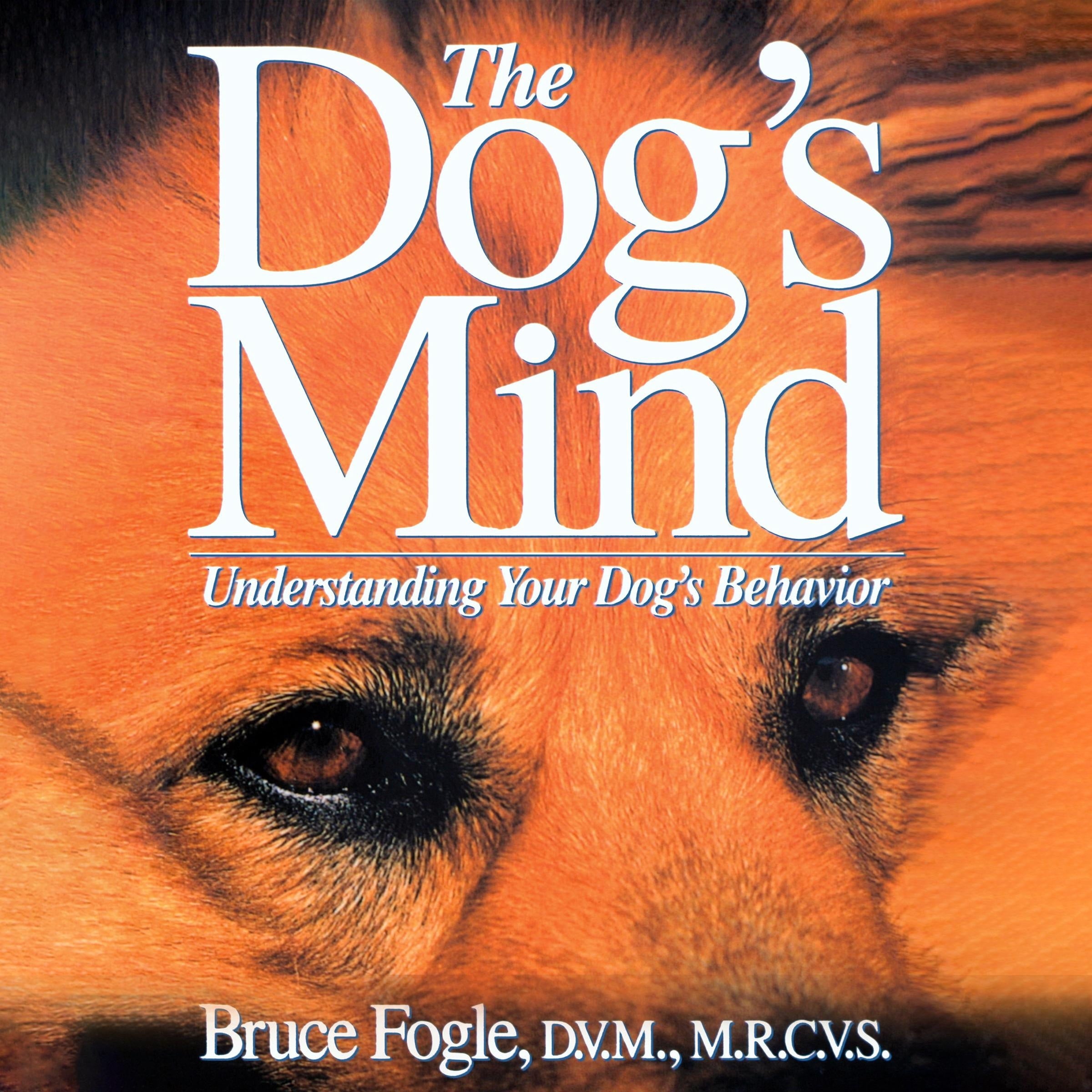 The Dog's Mind