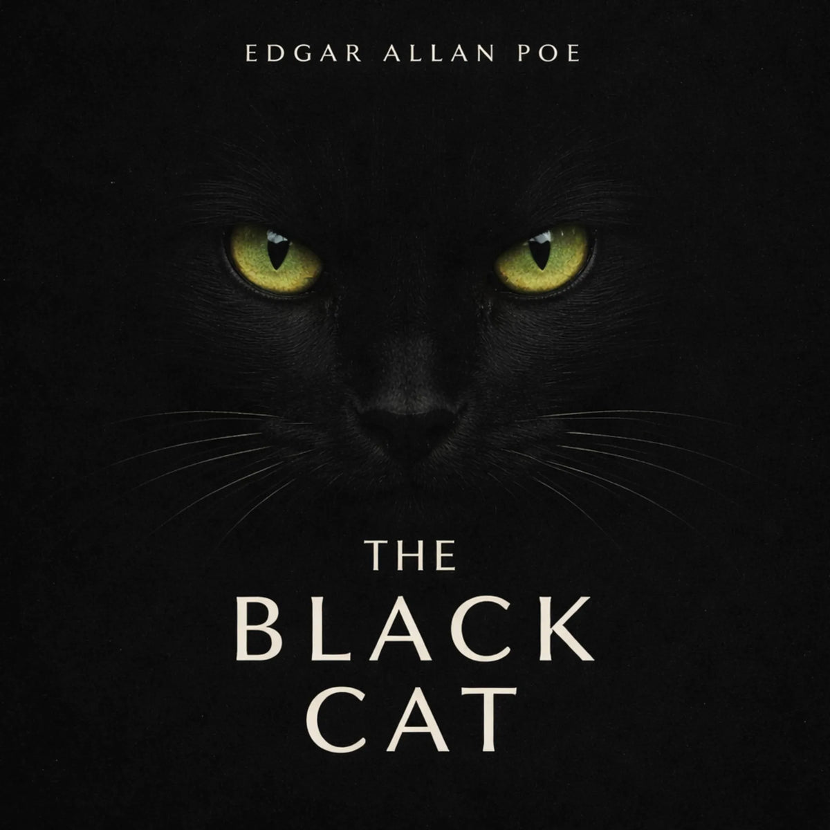 The Black Cat