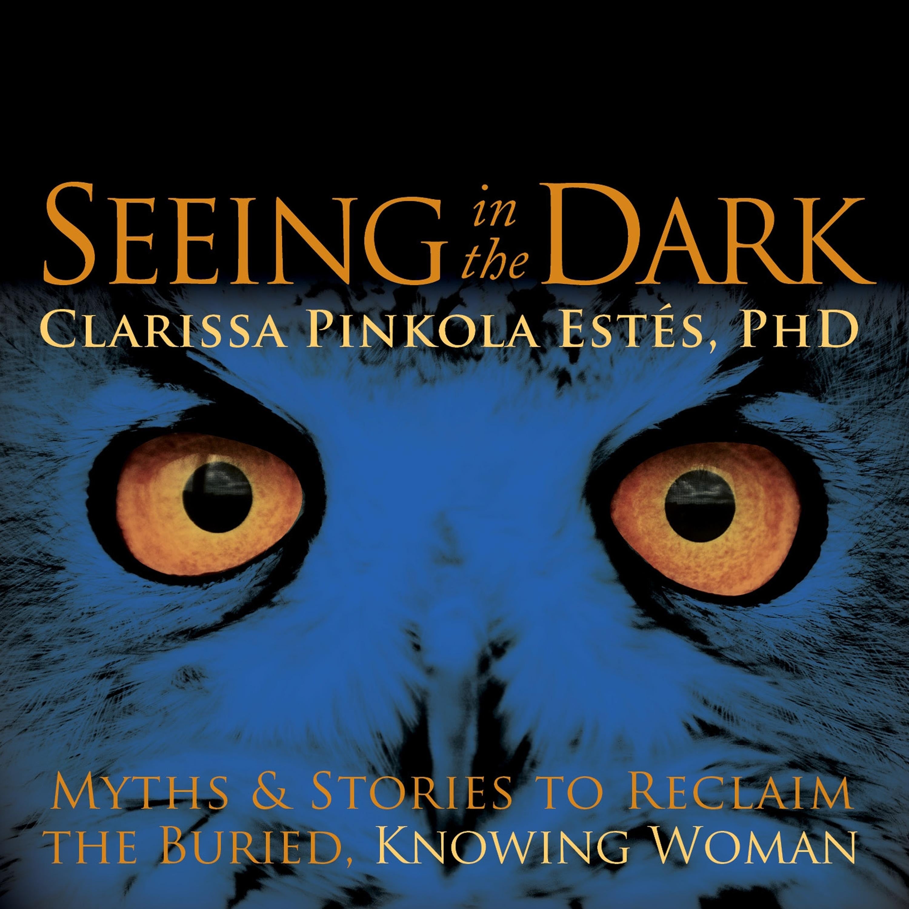Seeing in the Dark