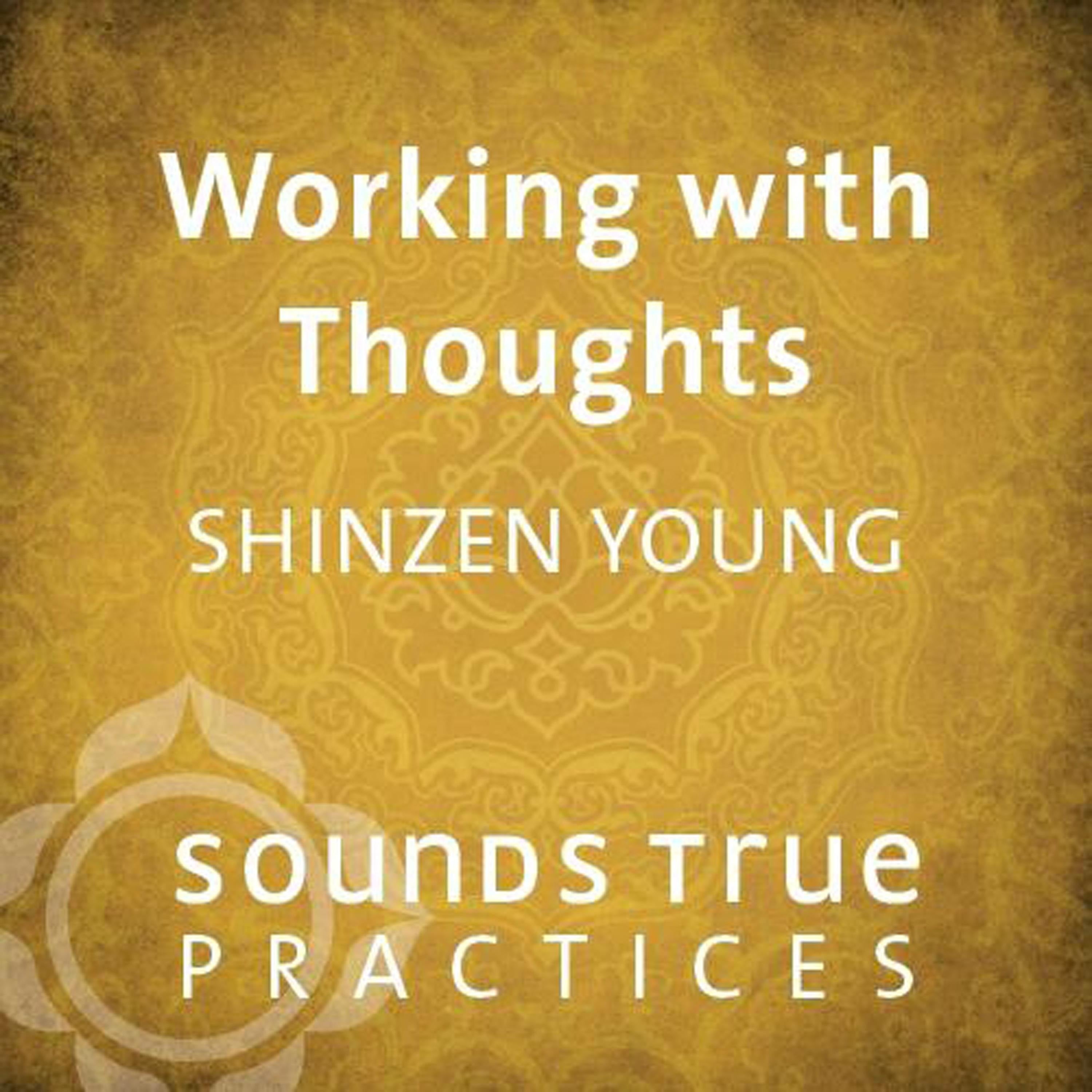 Working with Thoughts
