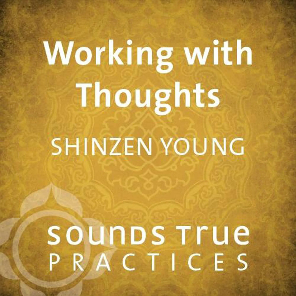 Working with Thoughts