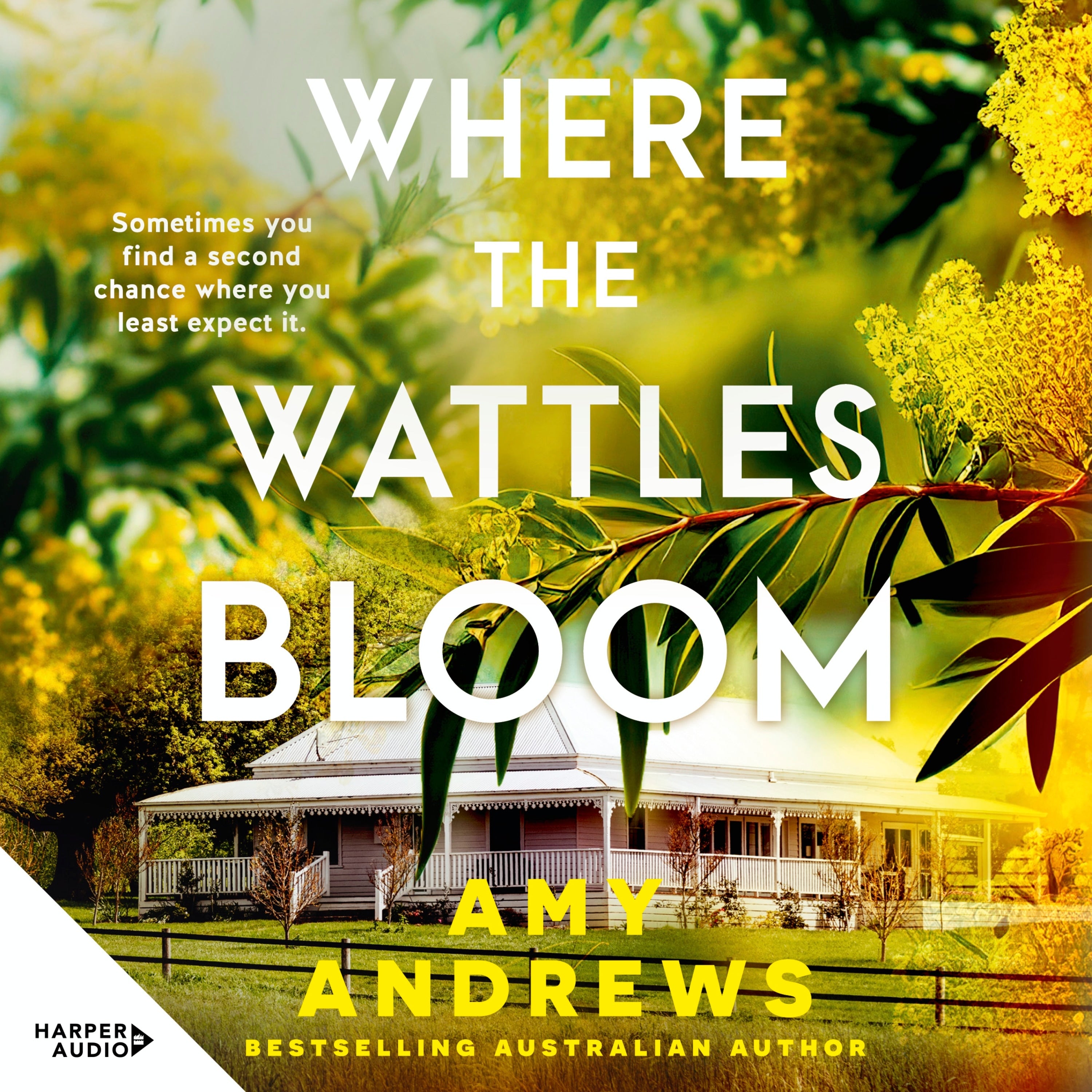 Where the Wattles Bloom