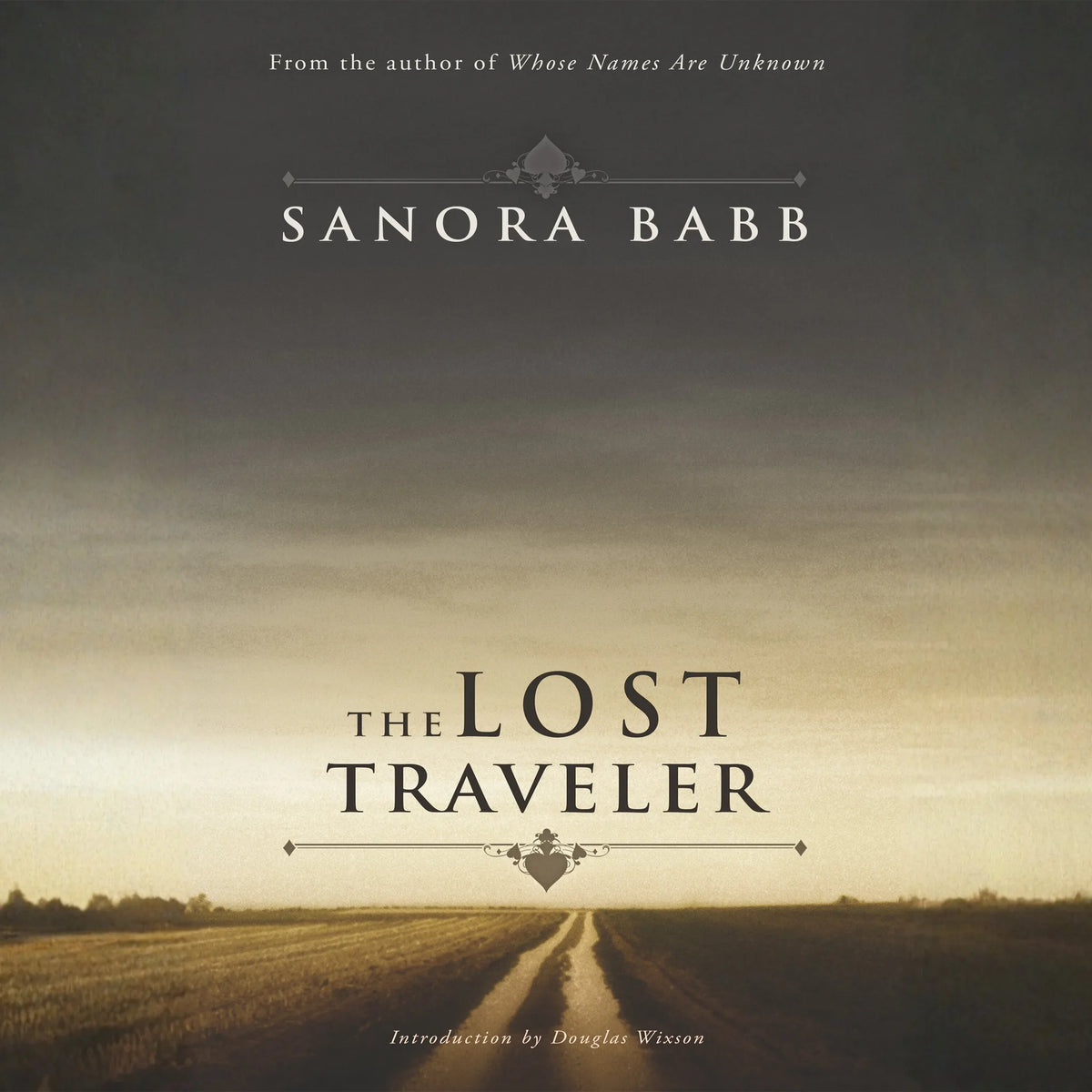 The Lost Traveler