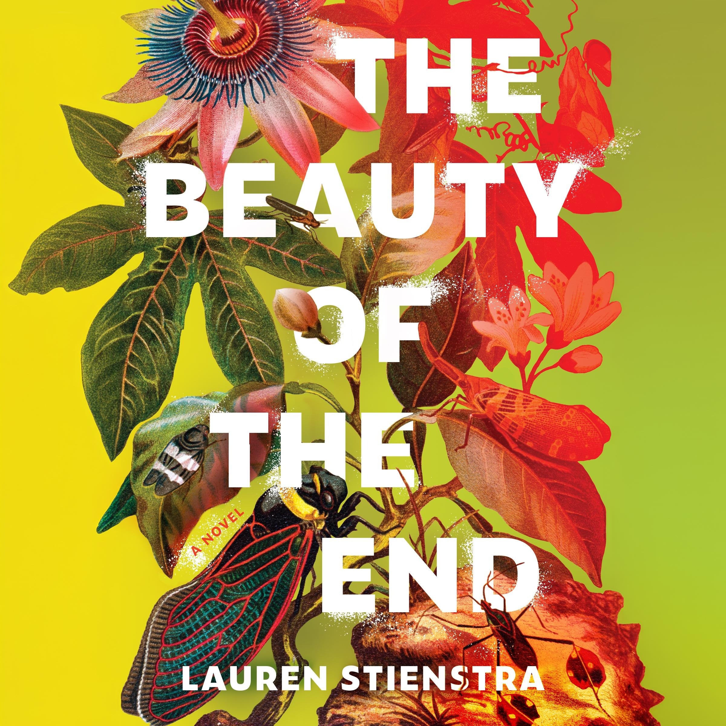 The Beauty of the End