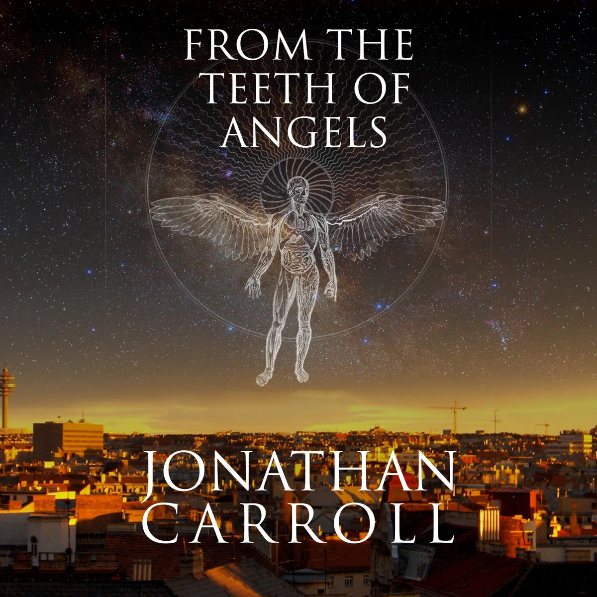 From the Teeth of Angels