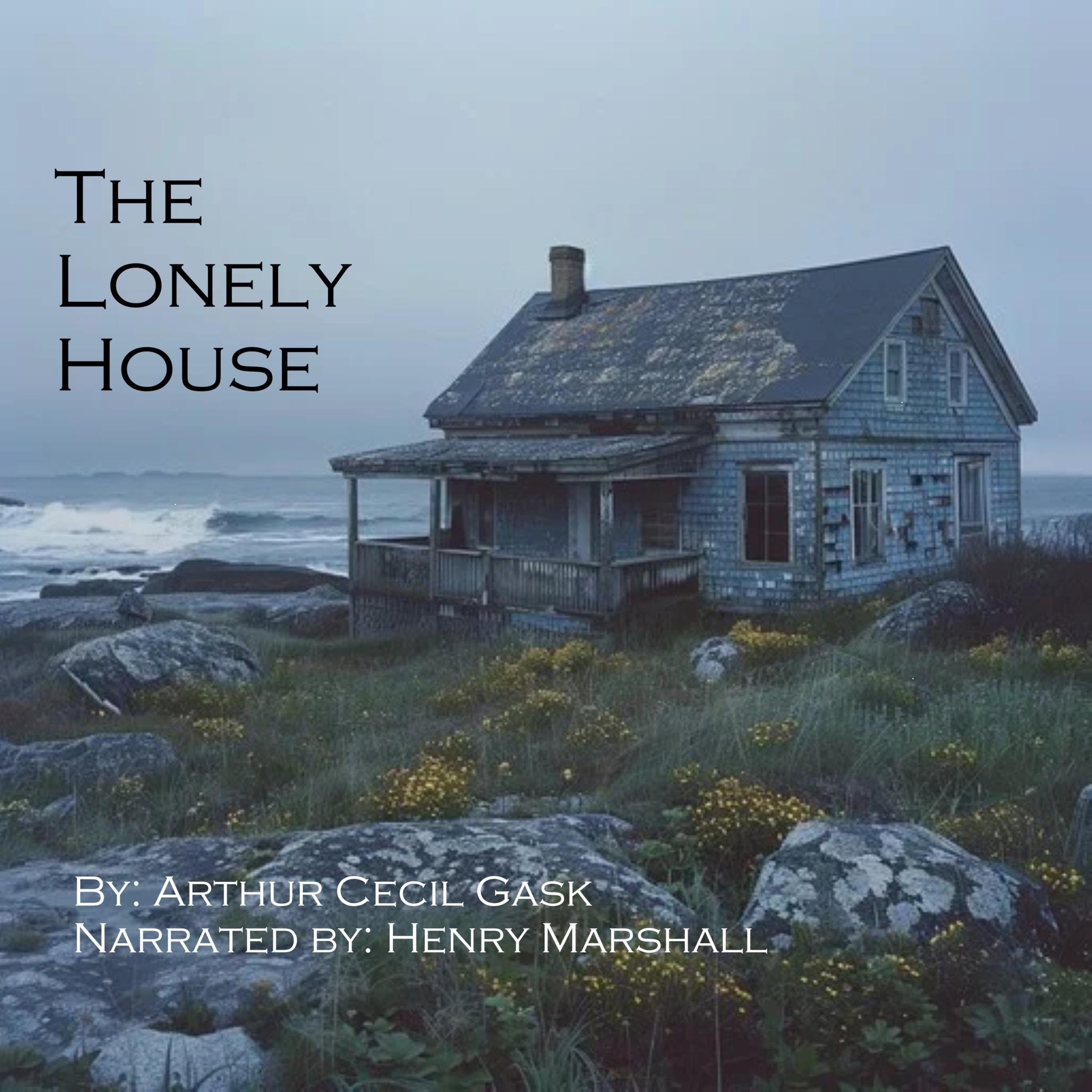 The Lonely House