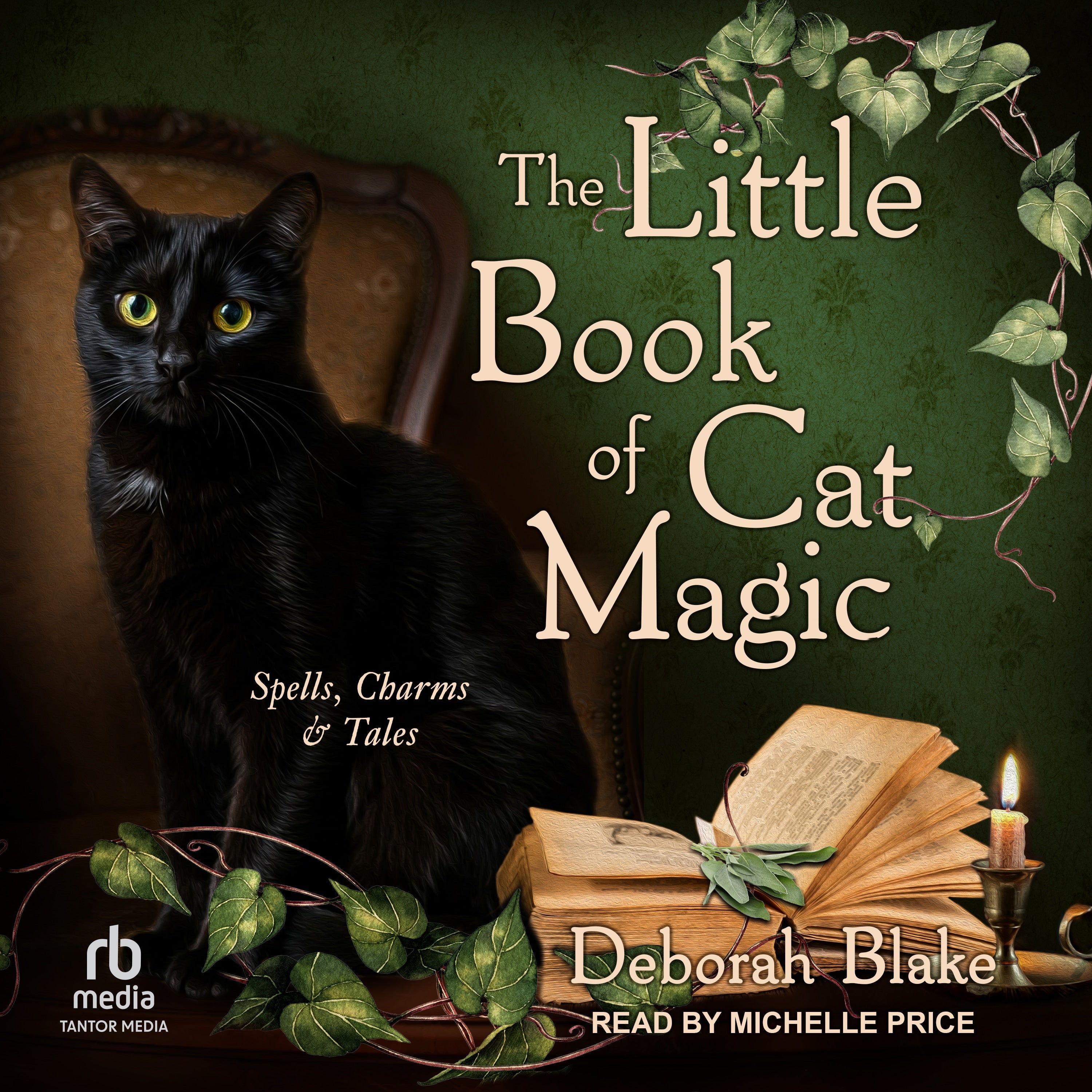 The Little Book of Cat Magic