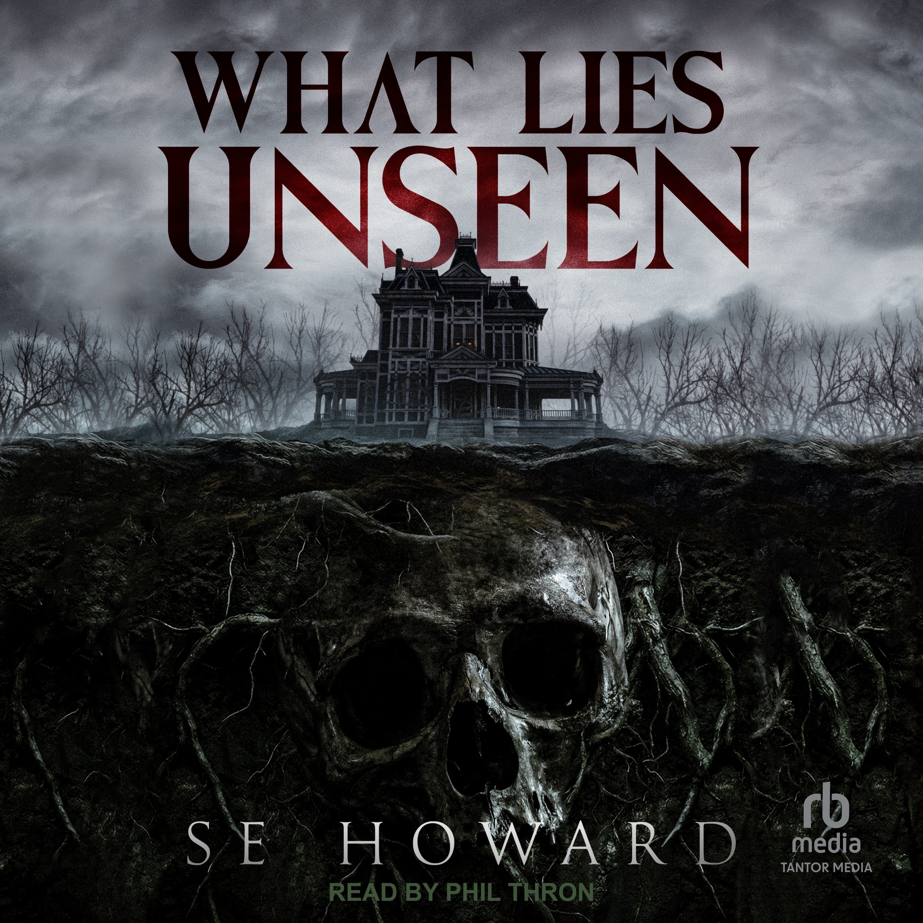 What Lies Unseen