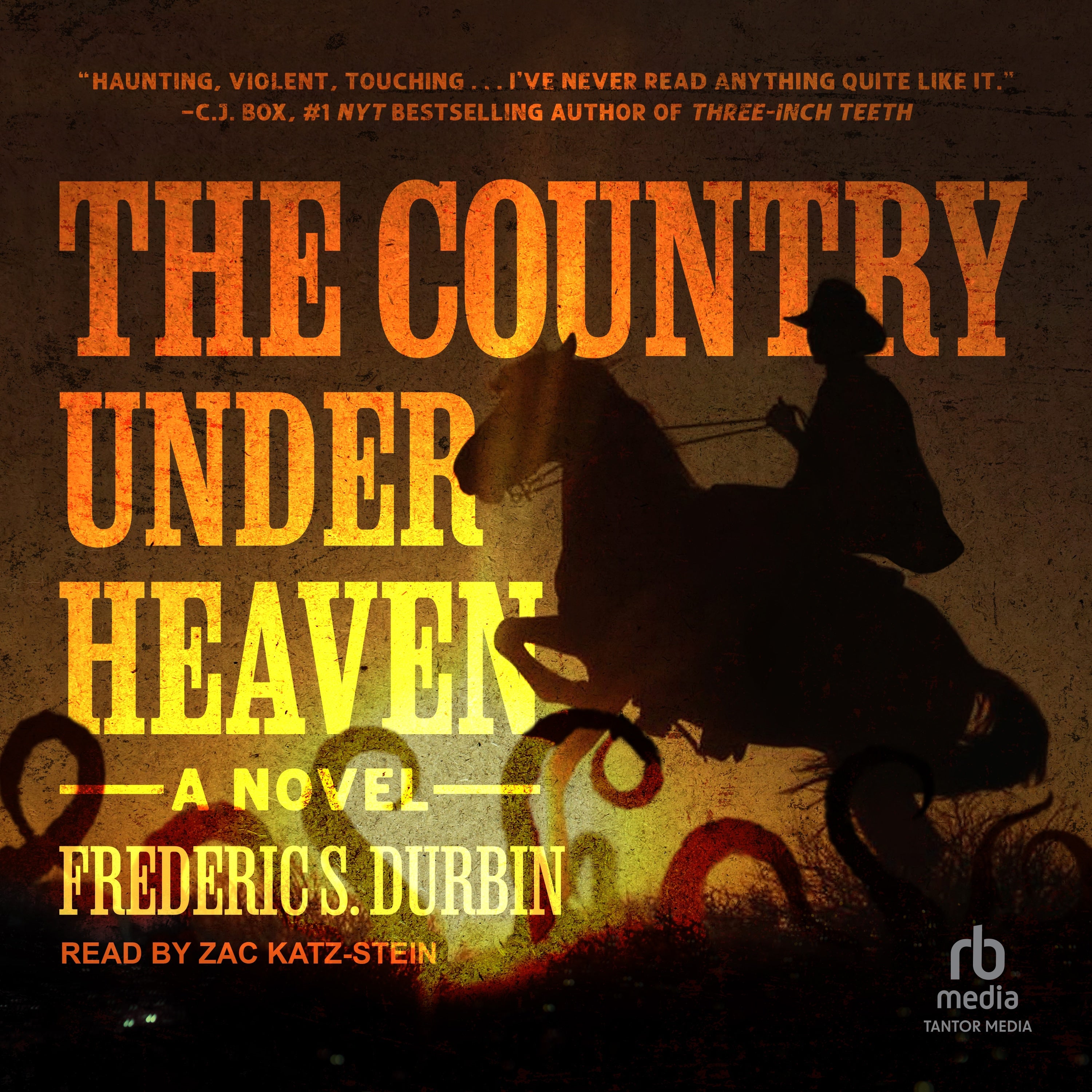The Country Under Heaven