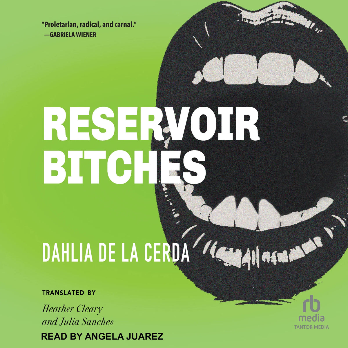 Reservoir Bitches