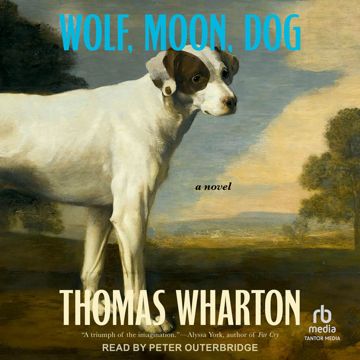 Wolf, Moon, Dog