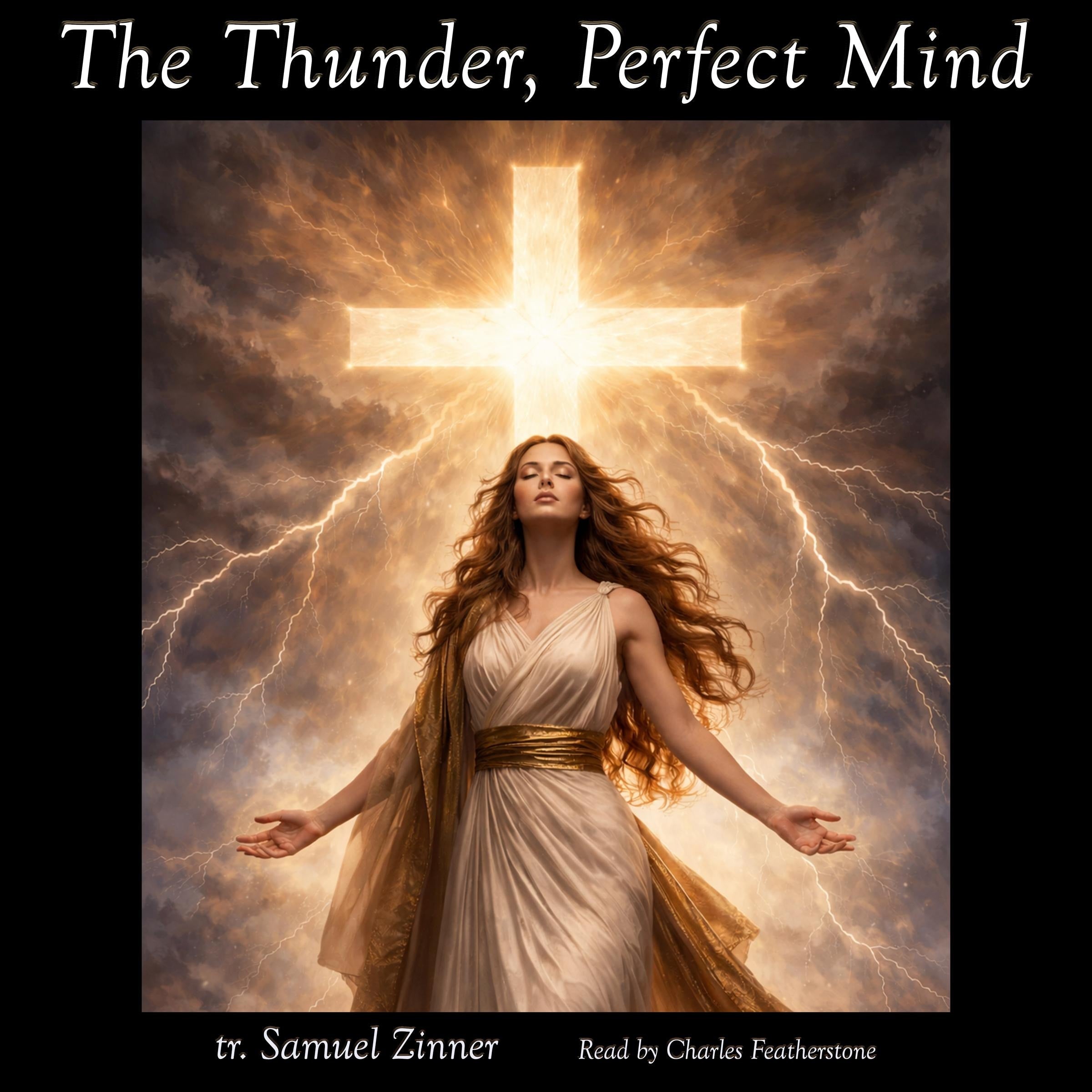The Thunder, Perfect Mind