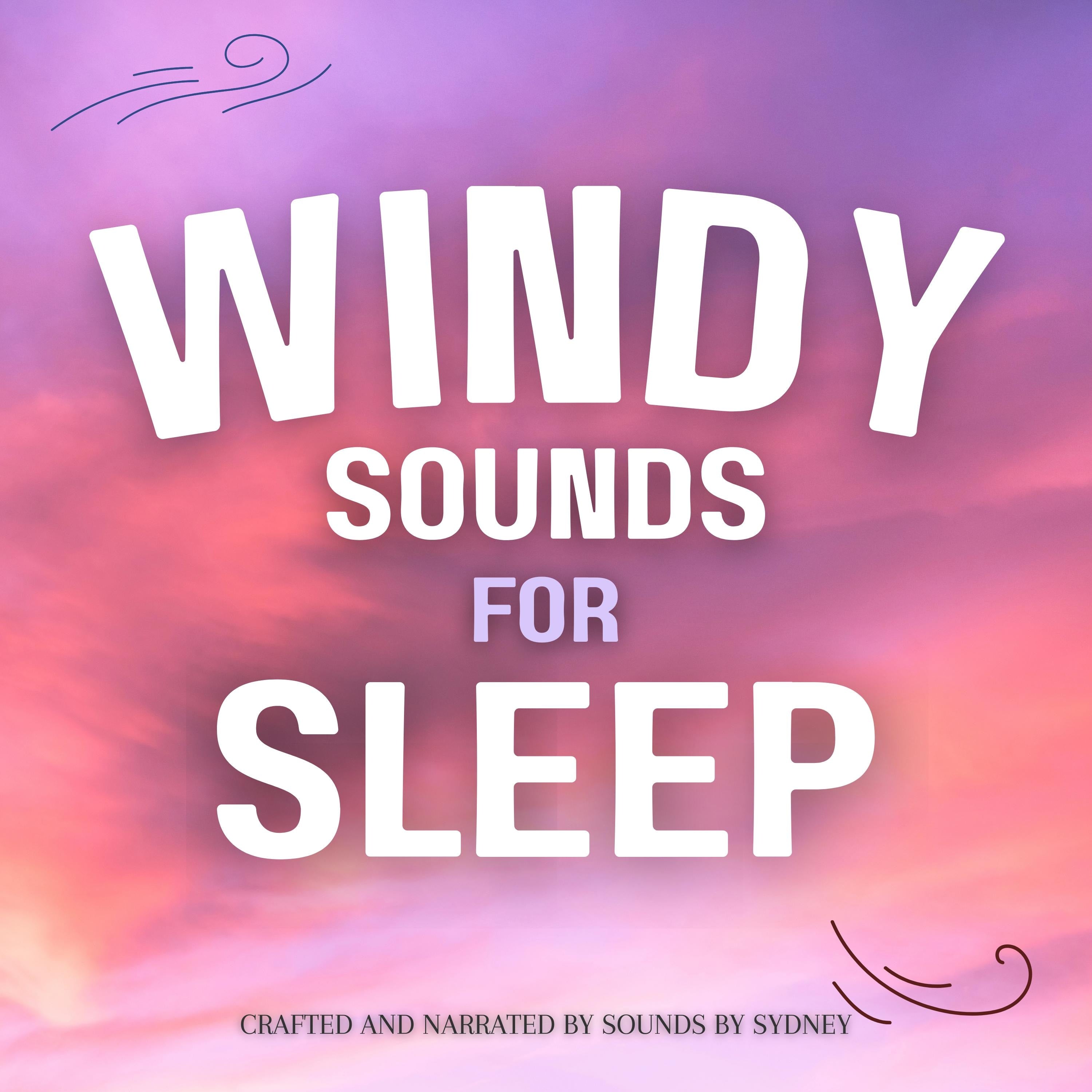 Windy Sounds for Sleep