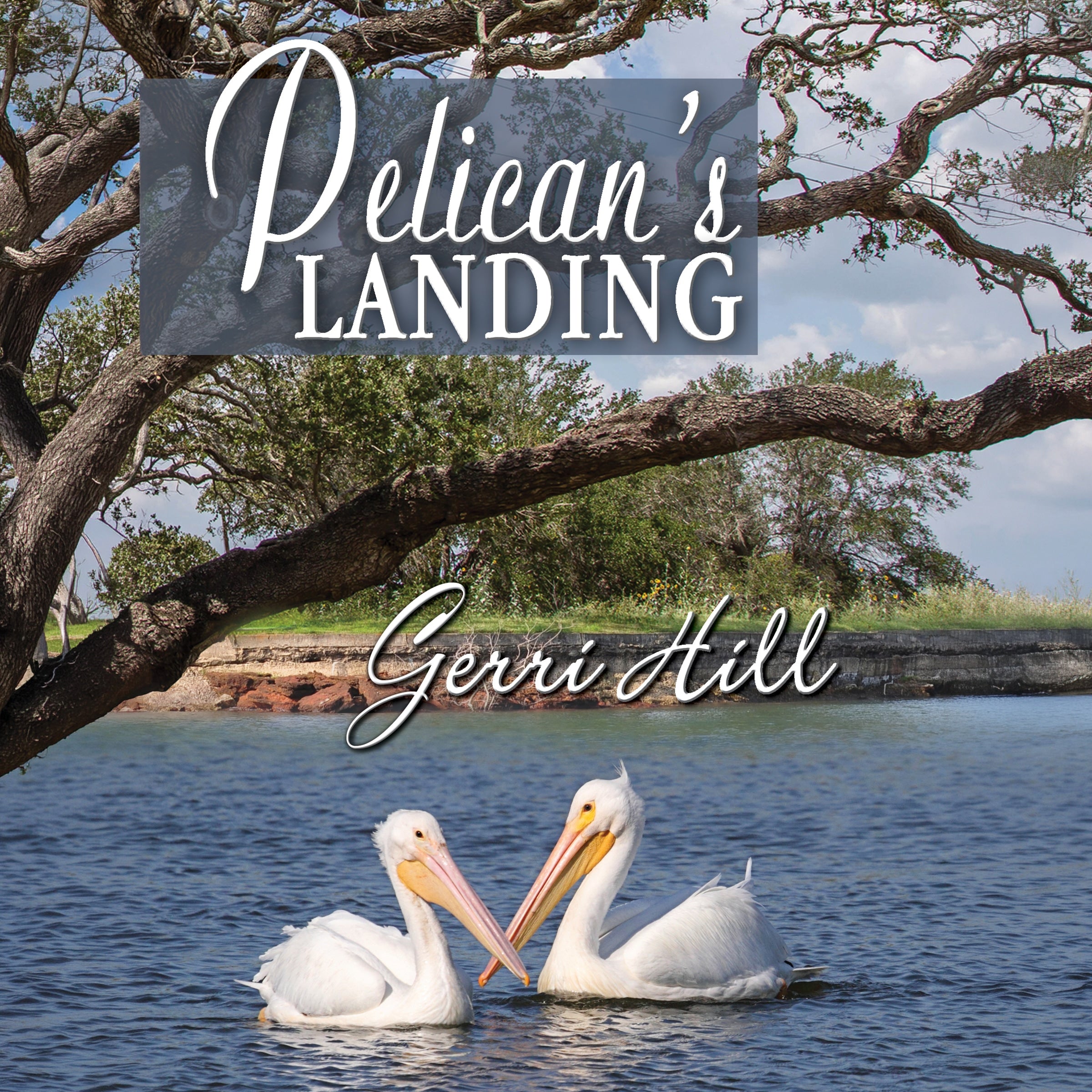 Pelican's Landing